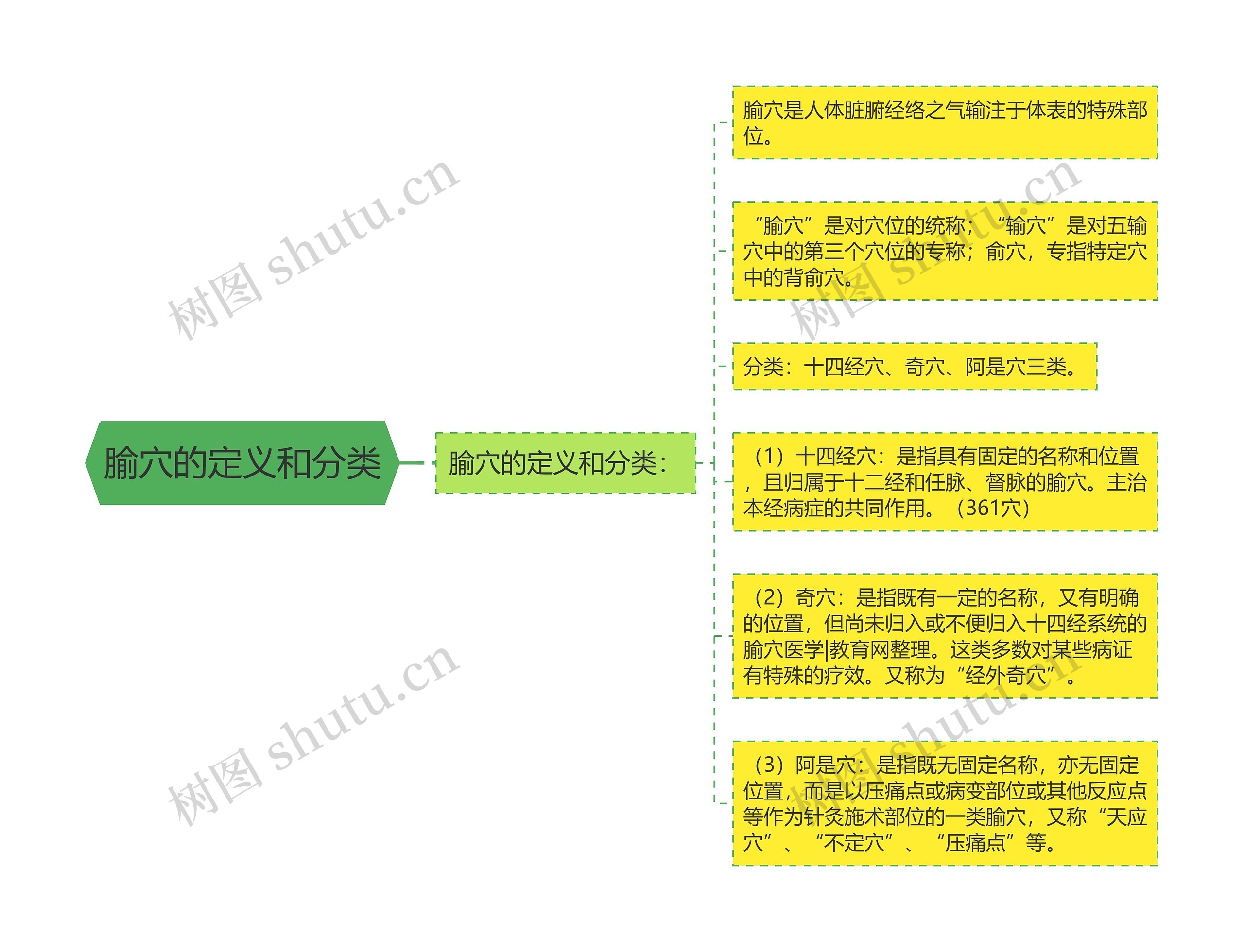 腧穴的定义和分类