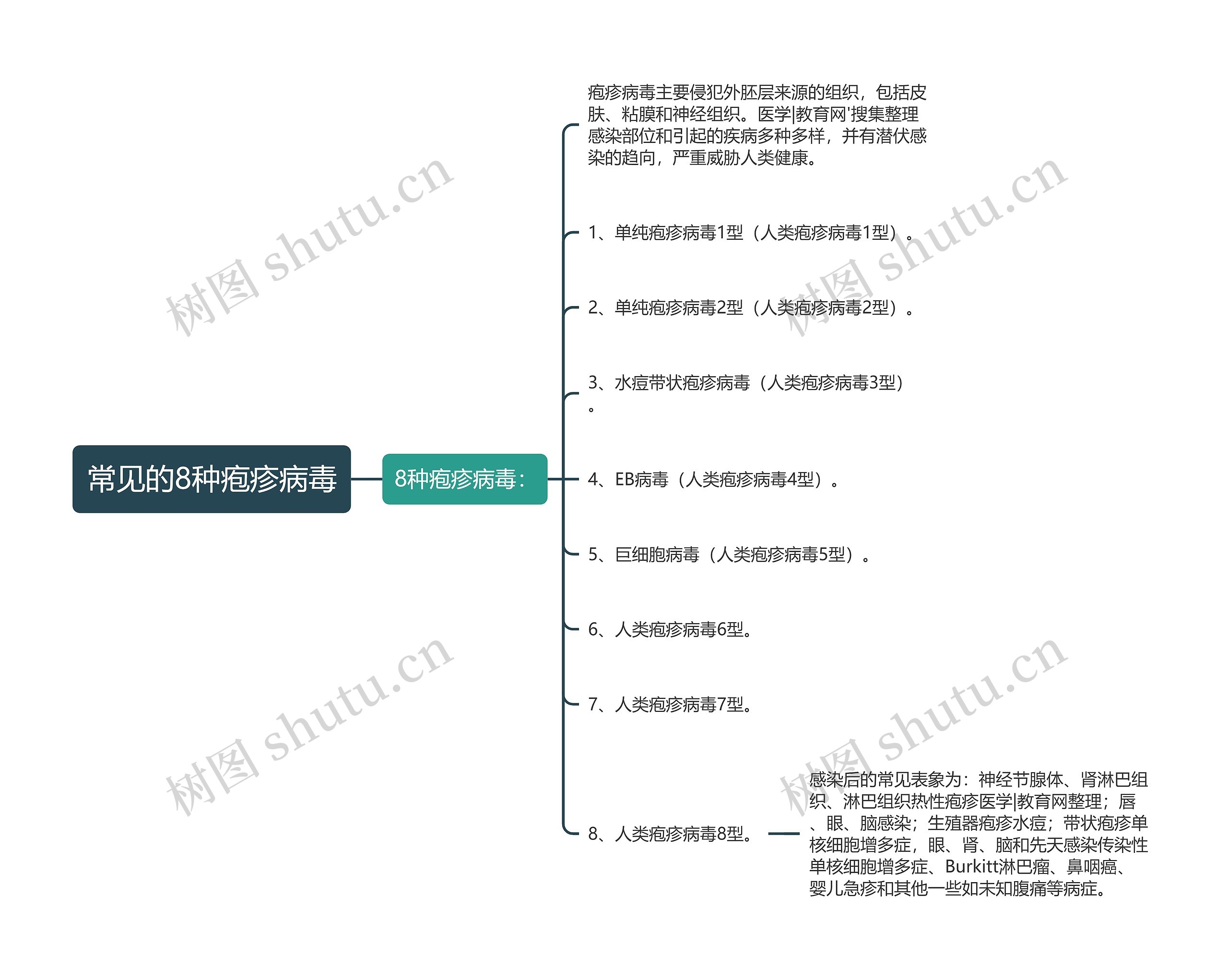 常见的8种疱疹病毒思维导图