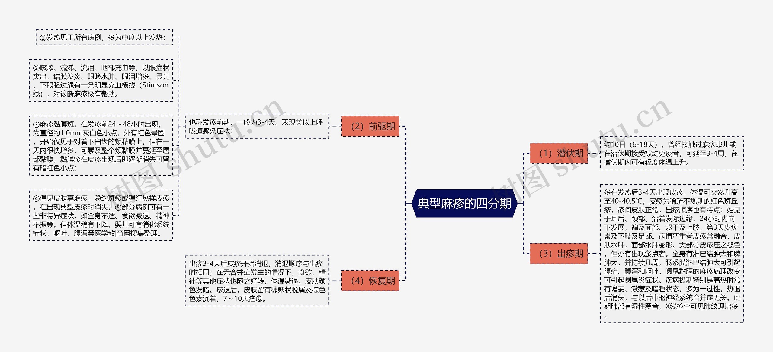 典型麻疹的四分期思维导图