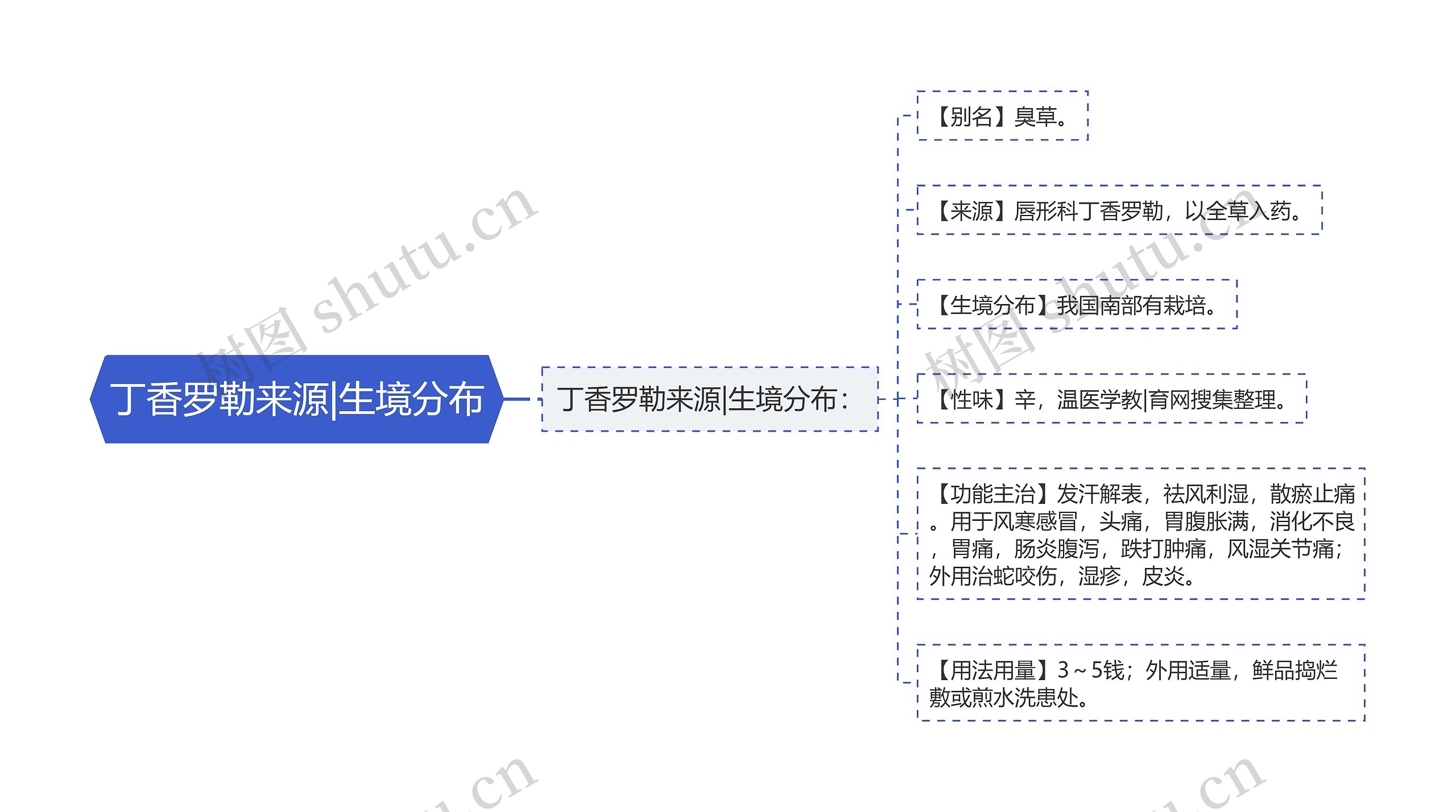 丁香罗勒来源|生境分布