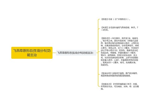 飞燕草原形态|生境分布|功能主治