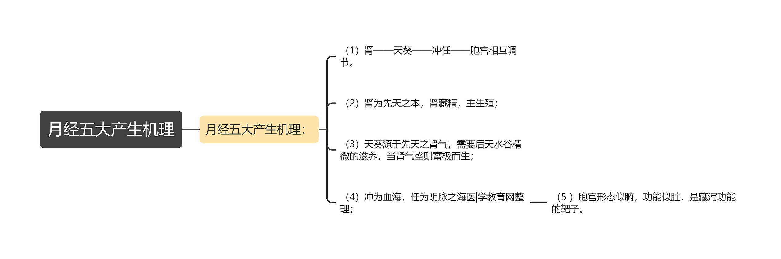 月经五大产生机理思维导图