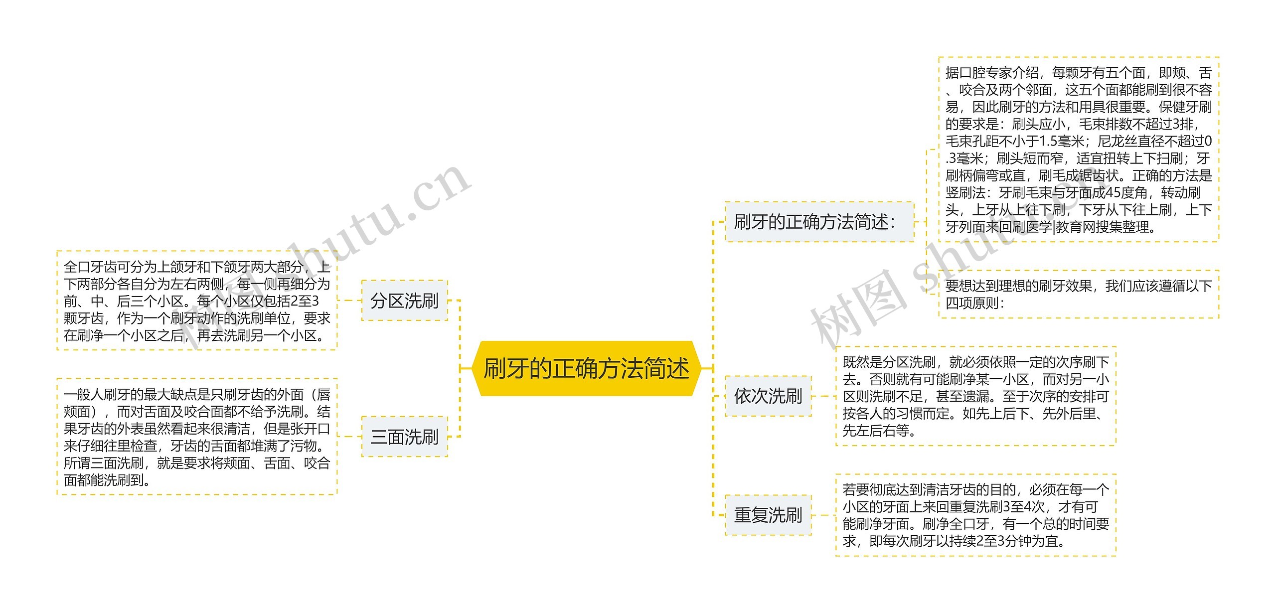 刷牙的正确方法简述