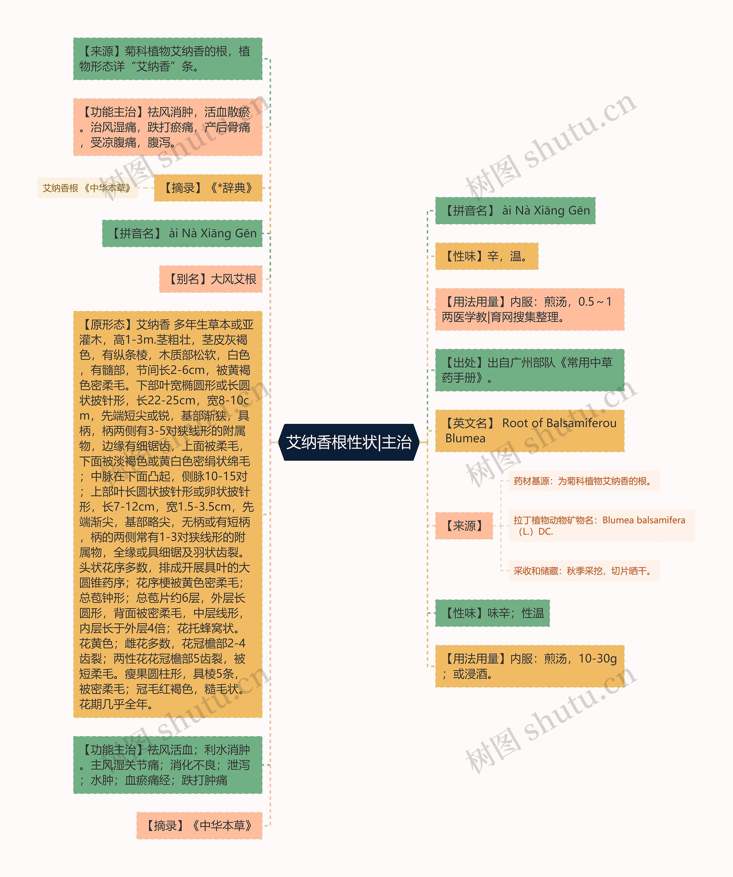 艾纳香根性状|主治思维导图