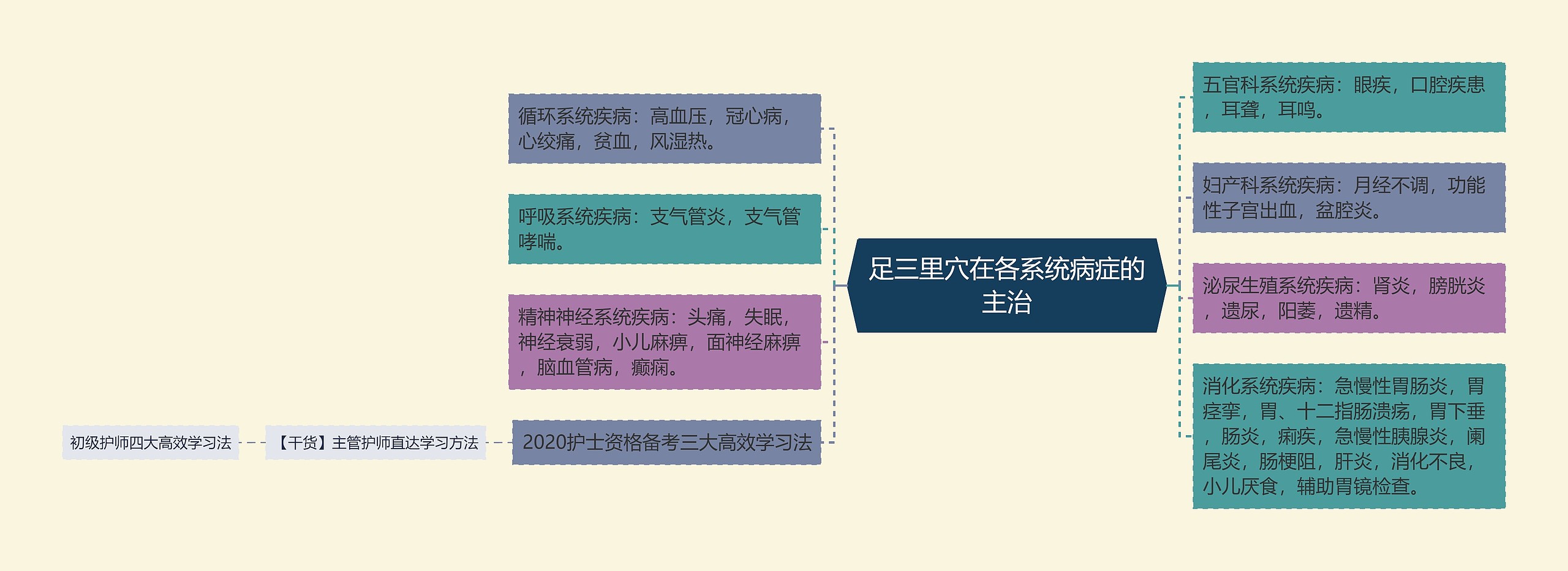 足三里穴在各系统病症的主治思维导图