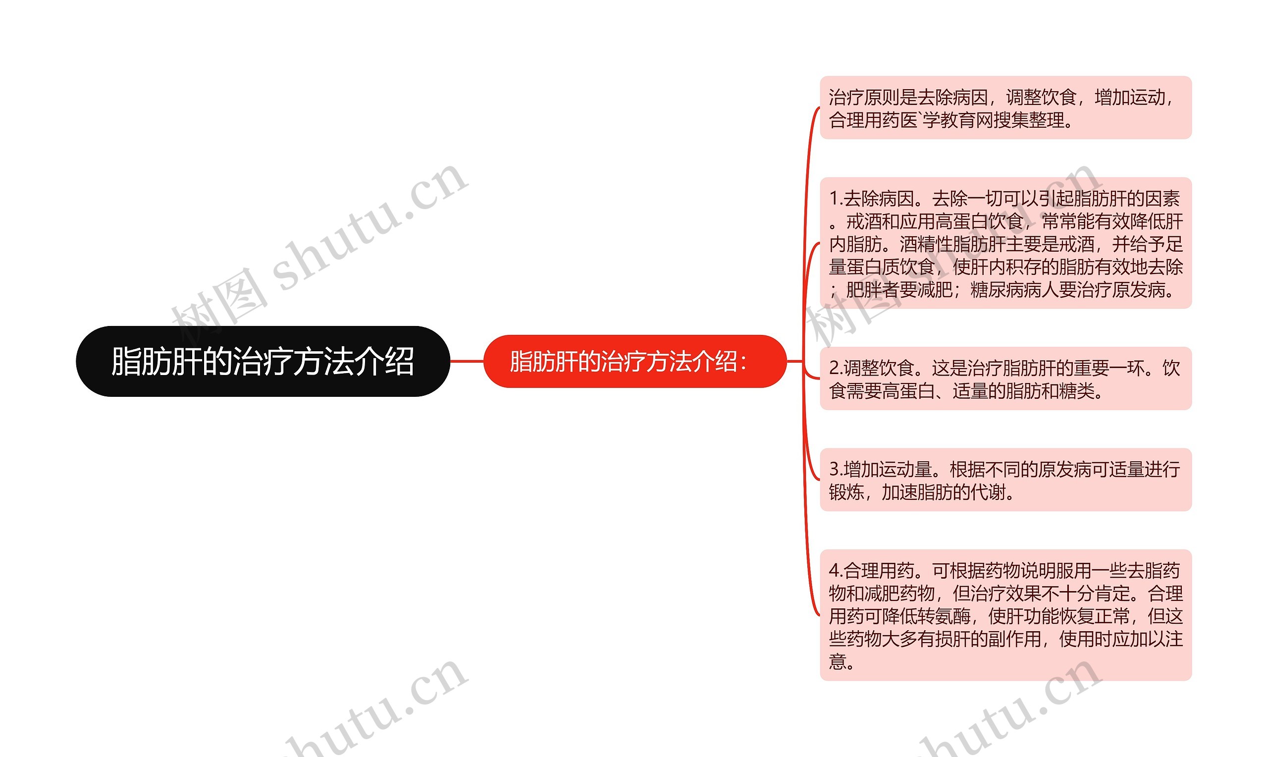 脂肪肝的治疗方法介绍思维导图