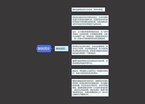 膀胱固定