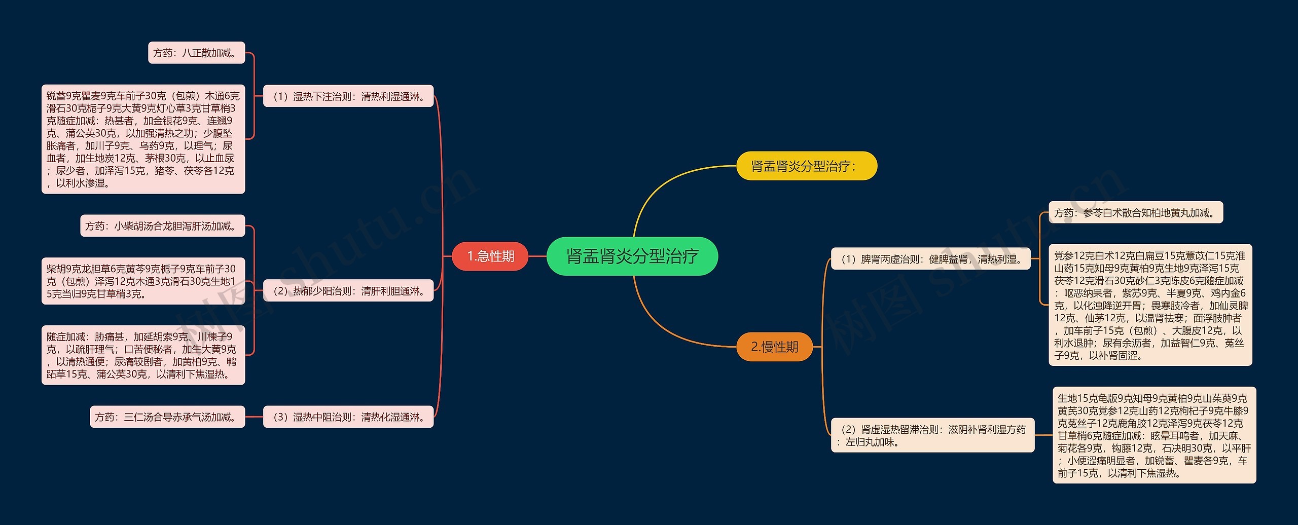 肾盂肾炎分型治疗思维导图