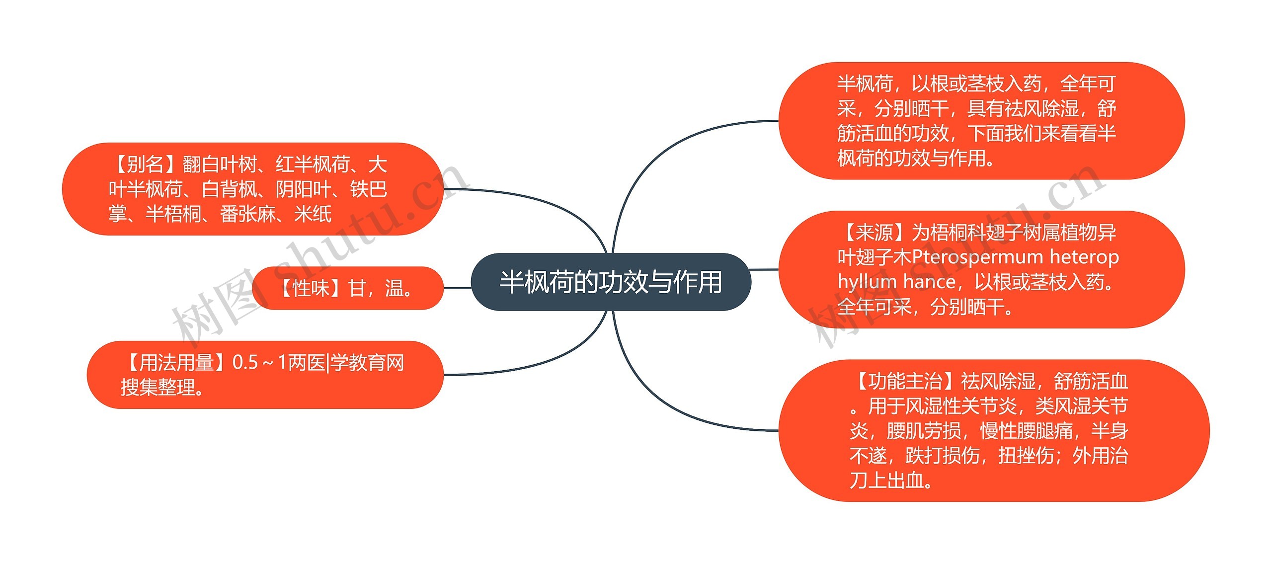 半枫荷的功效与作用 半枫荷的功效与作用