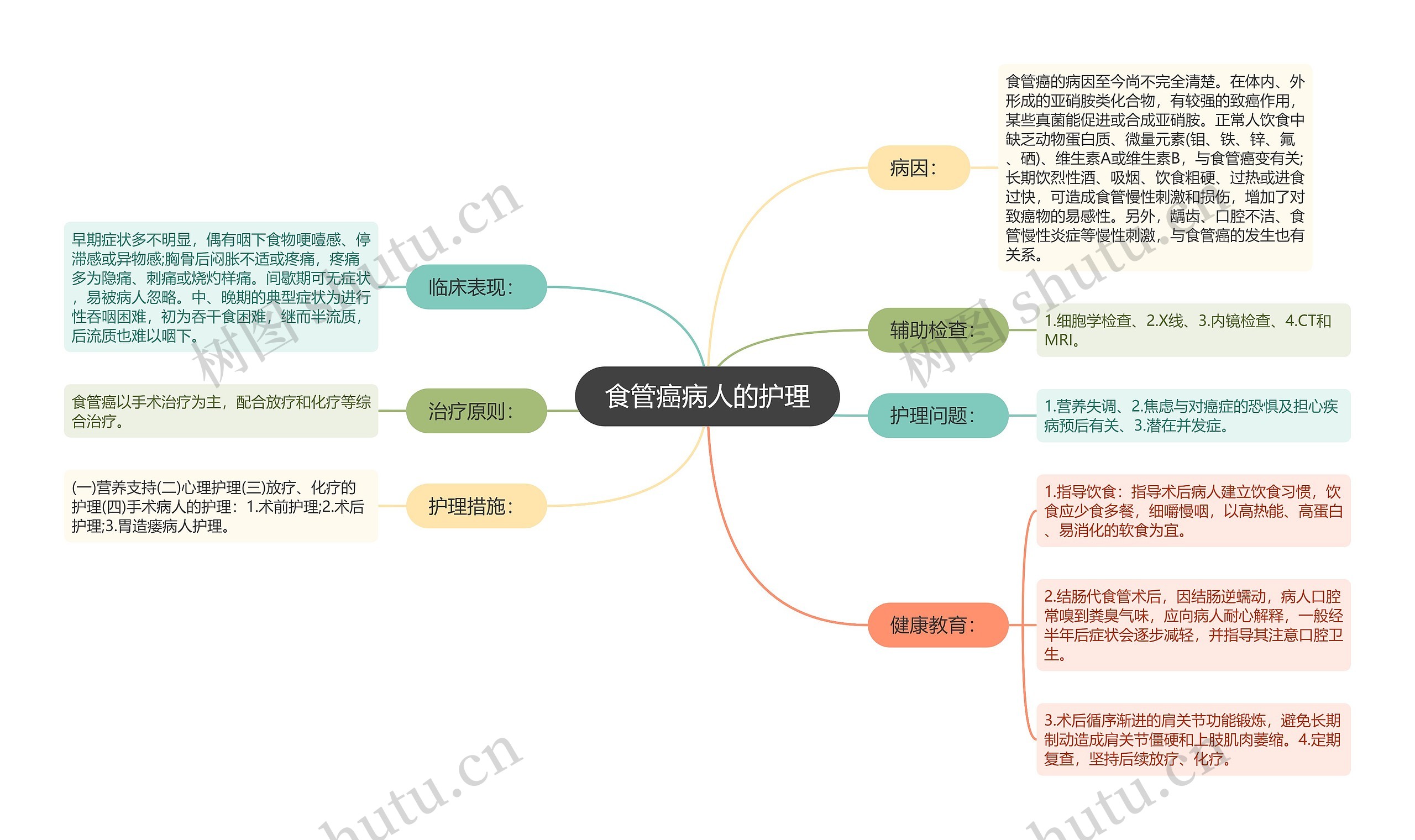 食管癌病人的护理思维导图