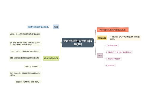 中毒型细菌性痢疾病因|发病机制