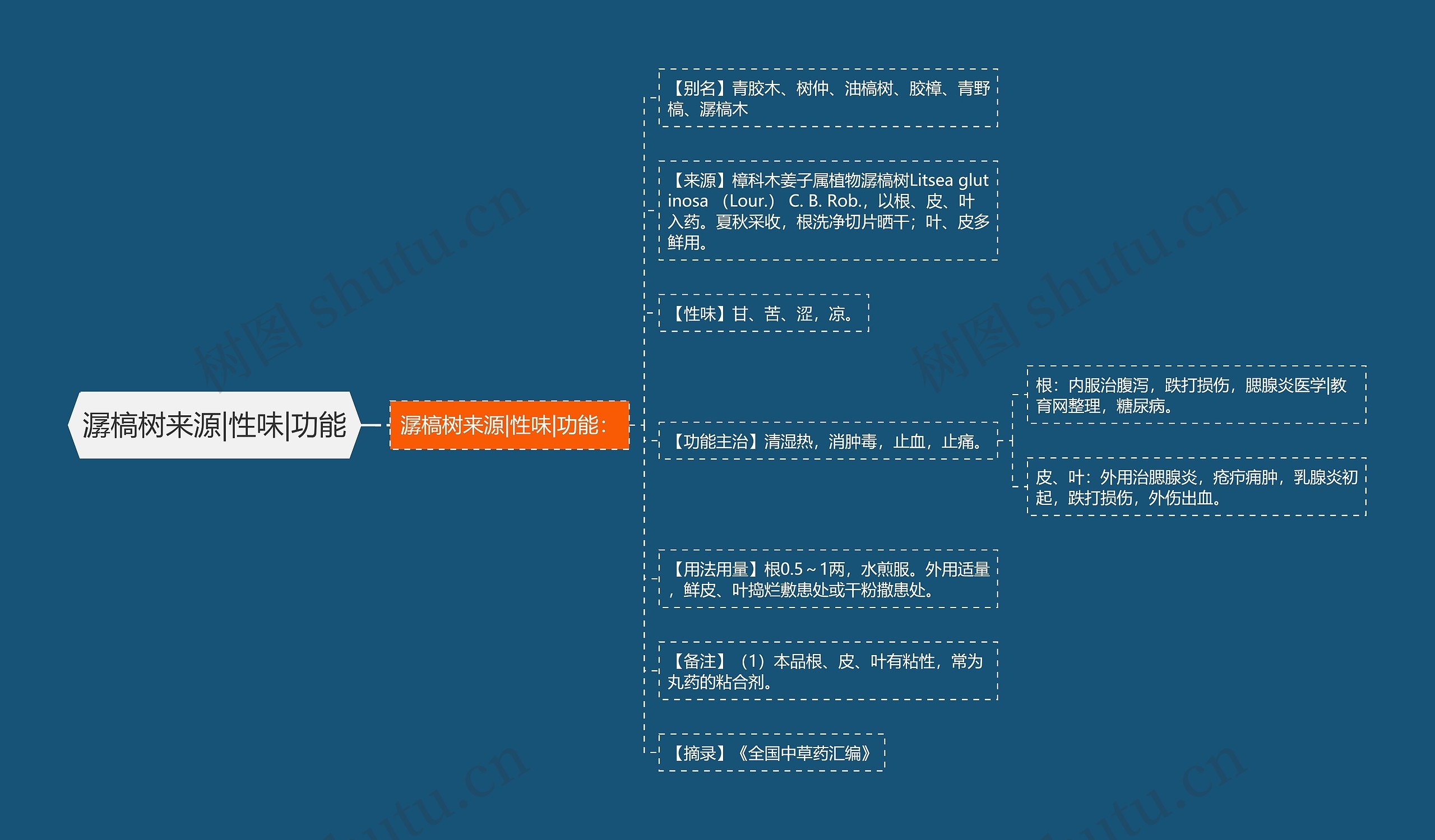 潺槁树来源|性味|功能思维导图
