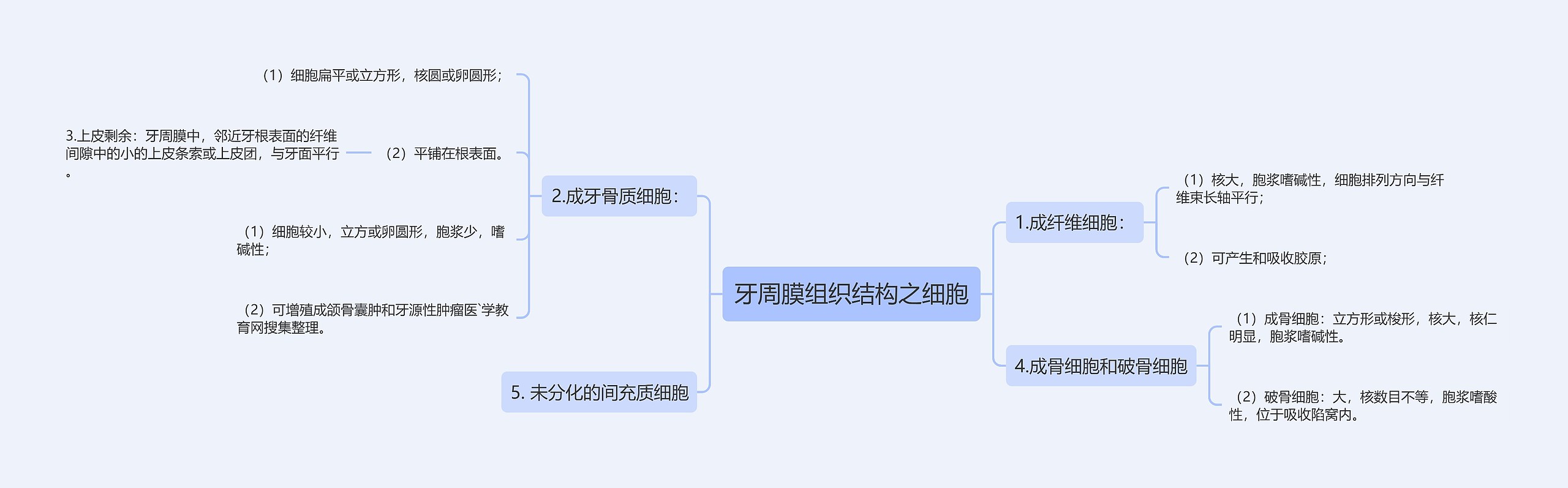 牙周膜组织结构之细胞