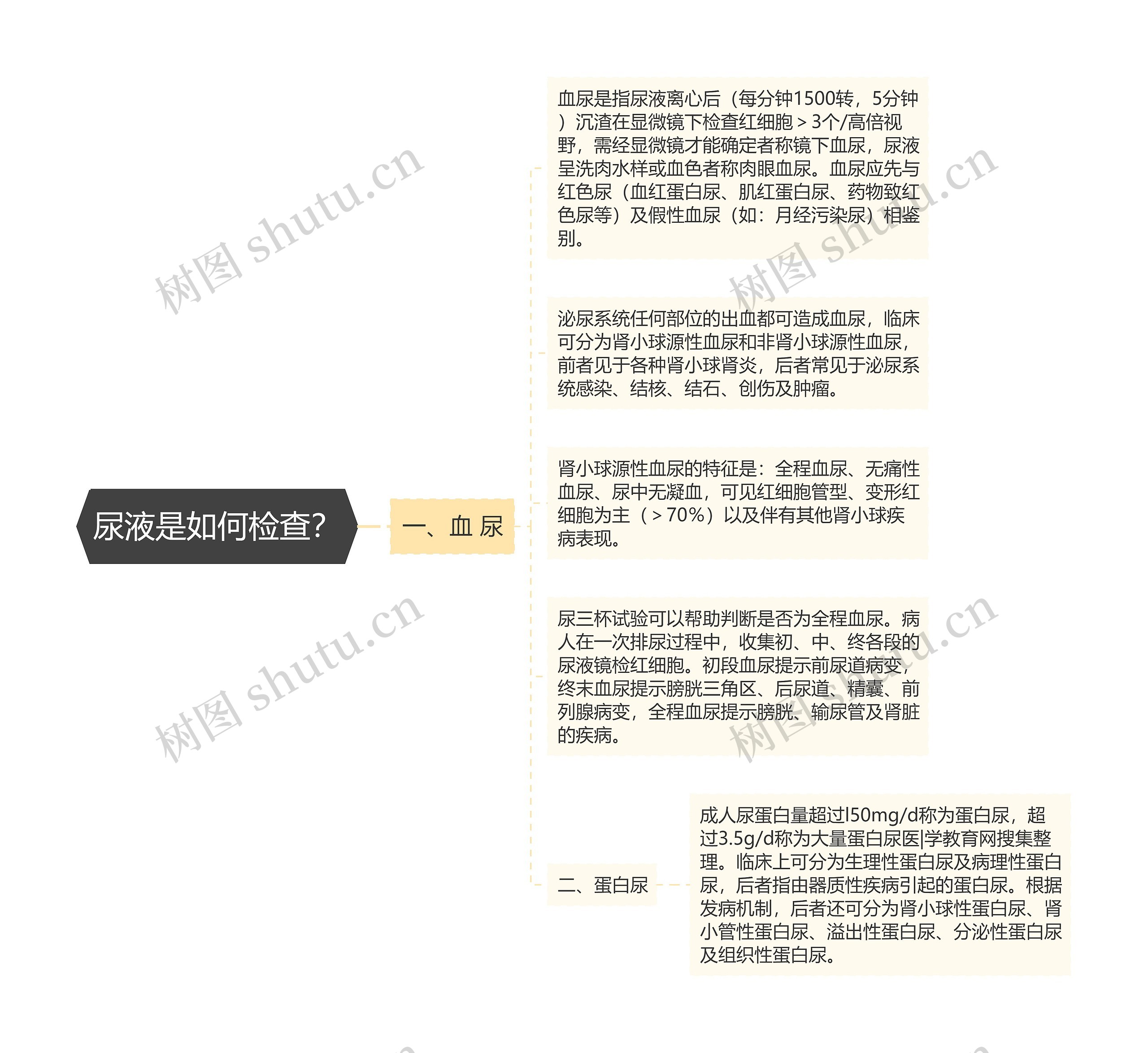 尿液是如何检查？