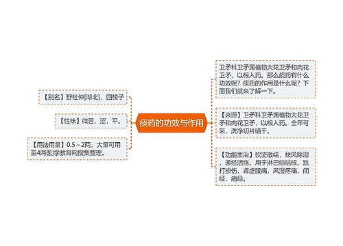 痰药的功效与作用