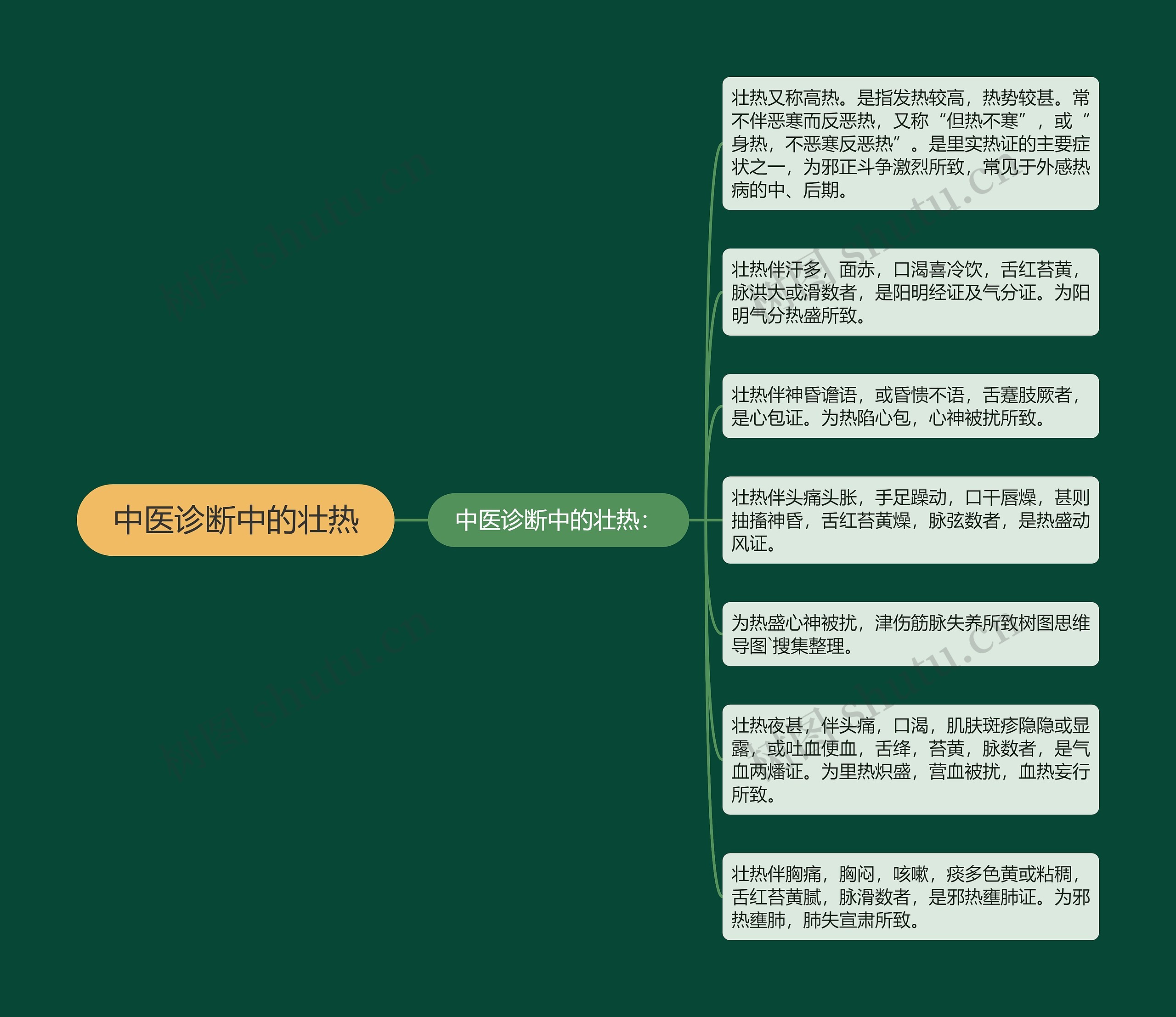 中医诊断中的壮热 中医诊断中的壮热