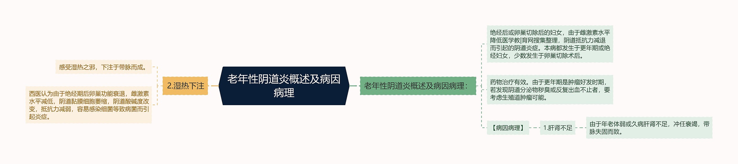 老年性阴道炎概述及病因病理思维导图