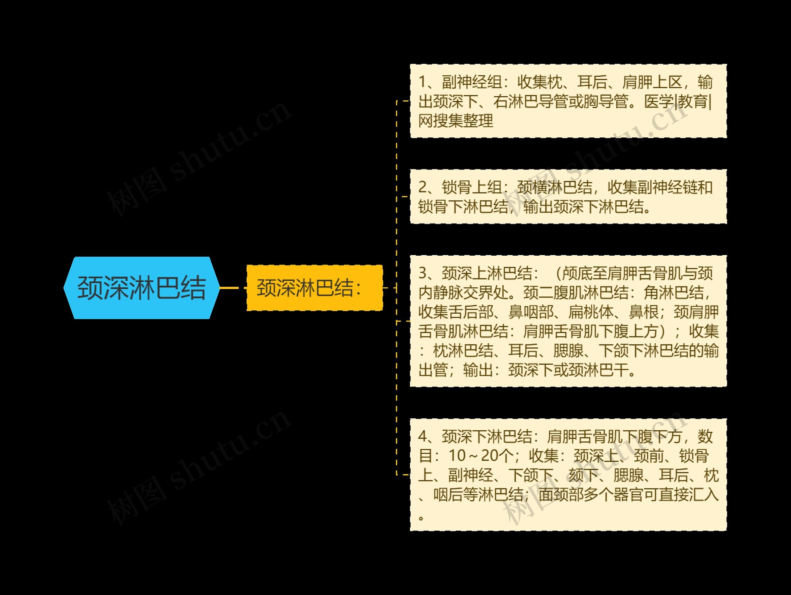 颈深淋巴结思维导图