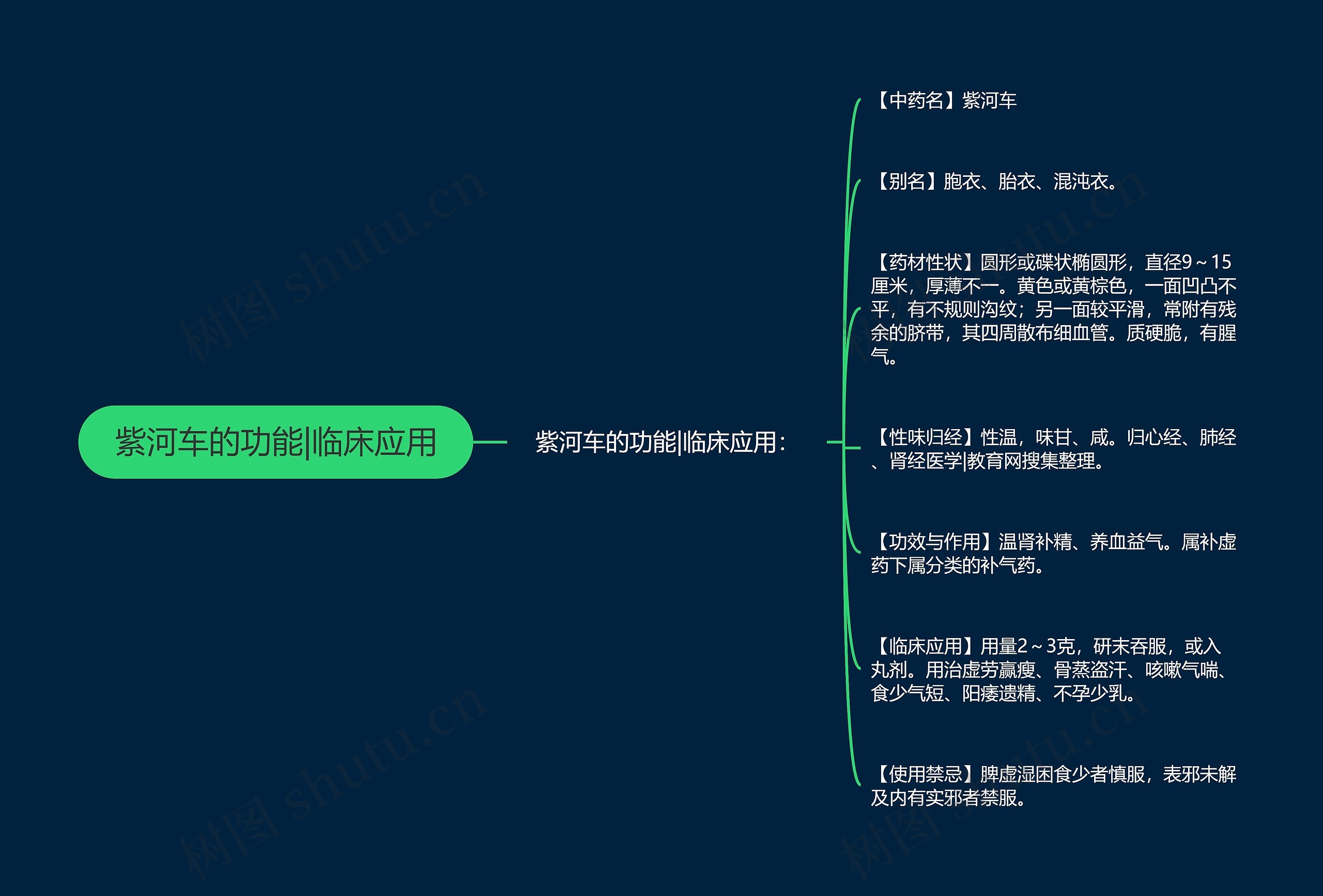 紫河车的功能|临床应用思维导图