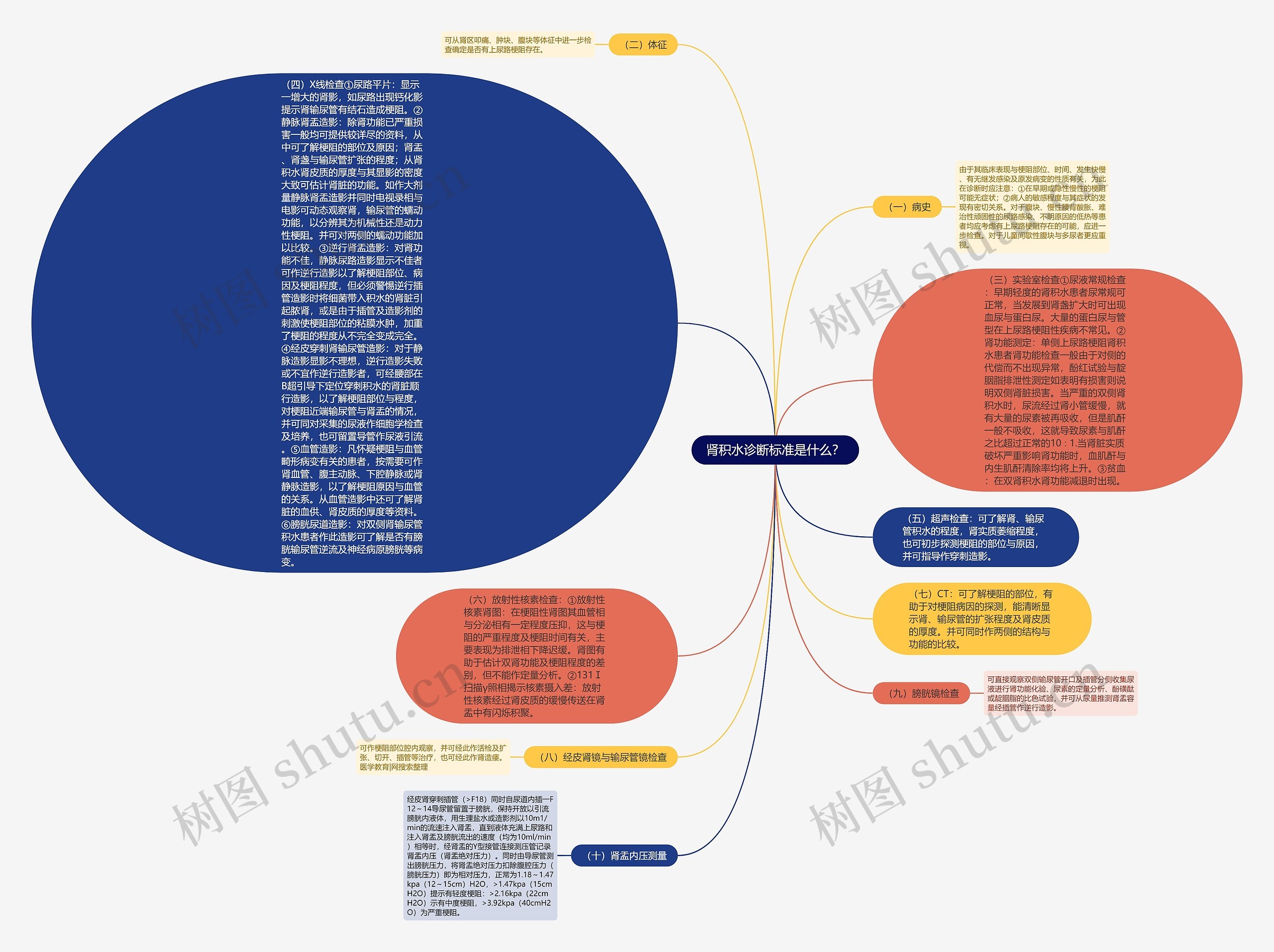 肾积水诊断标准是什么？思维导图