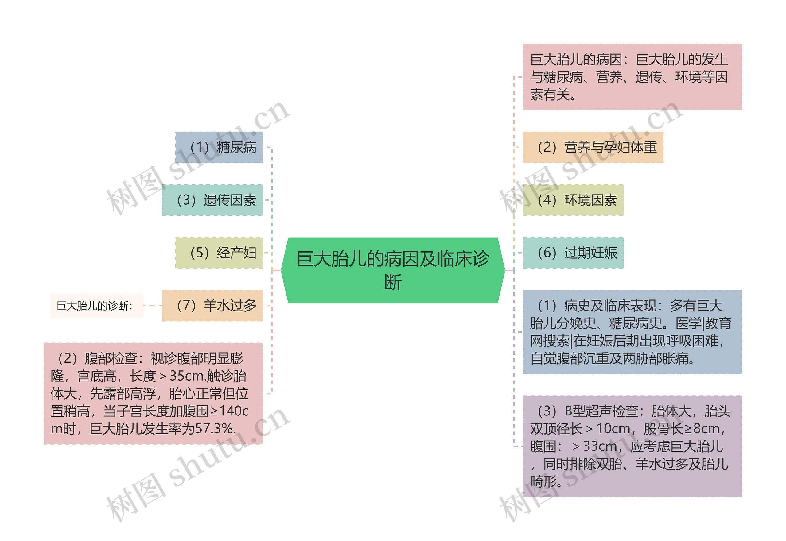 巨大胎儿的病因及临床诊断思维导图