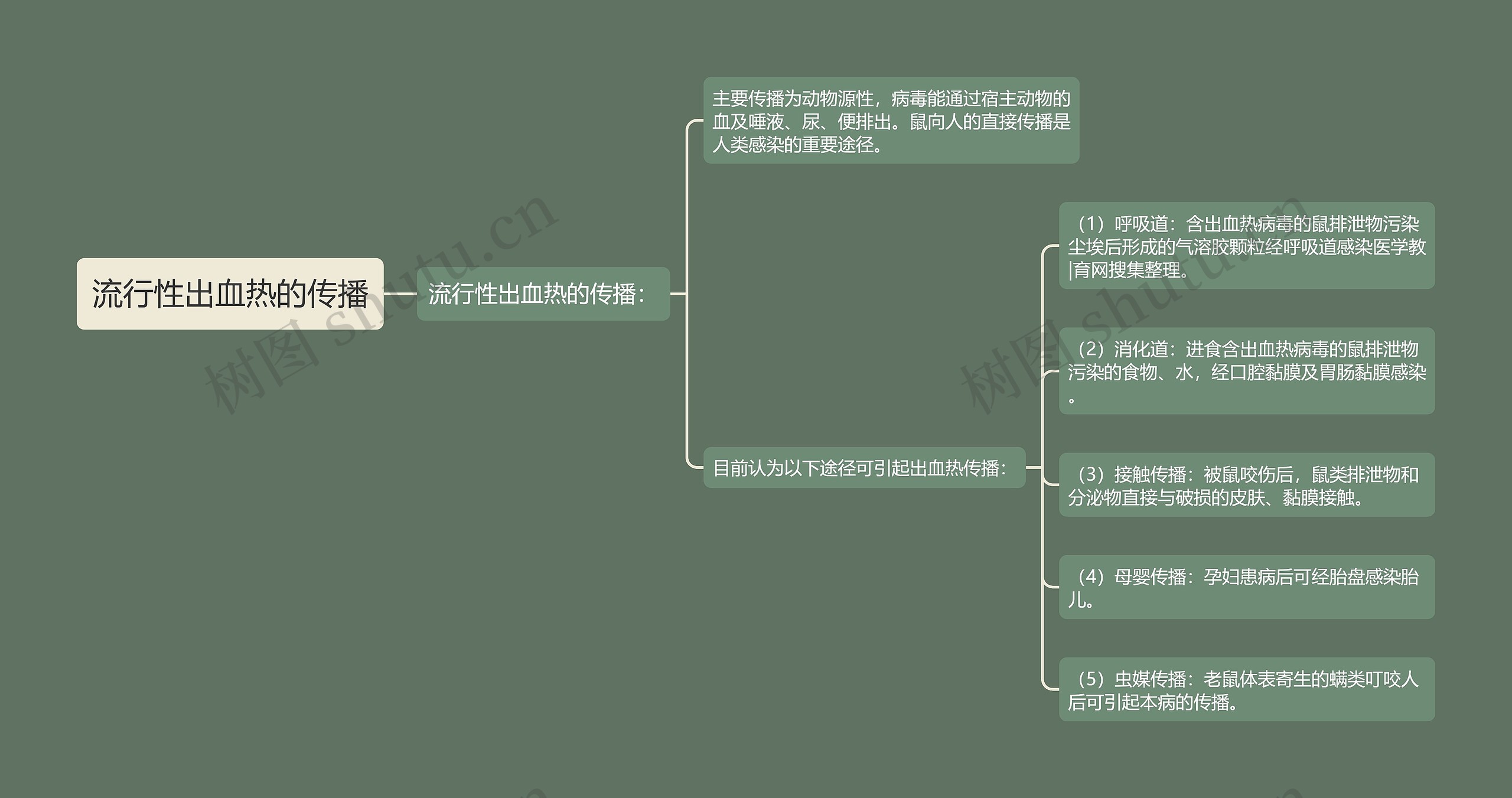 流行性出血热的传播思维导图