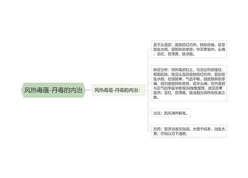 风热毒蕴-丹毒的内治