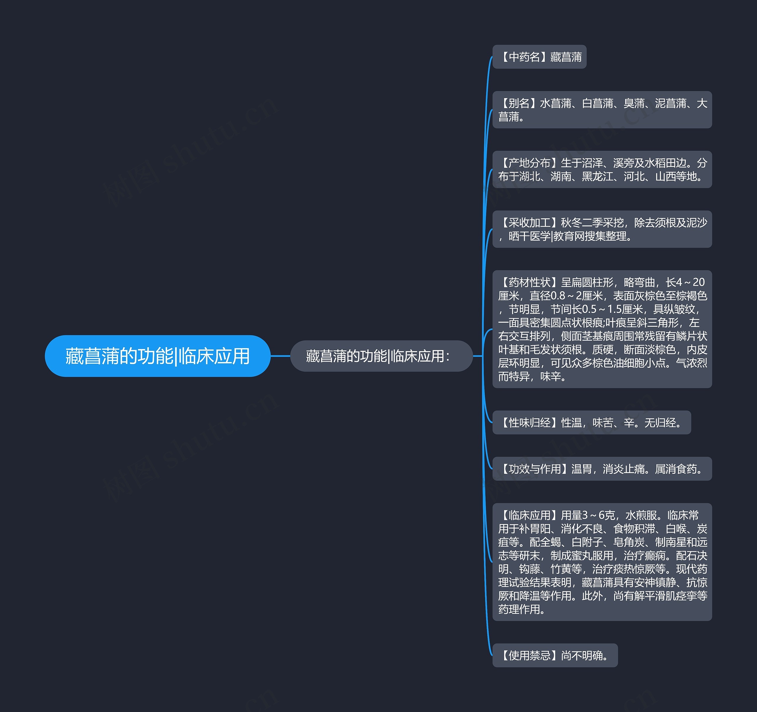 藏菖蒲的功能|临床应用 藏菖蒲的功能|临床应用