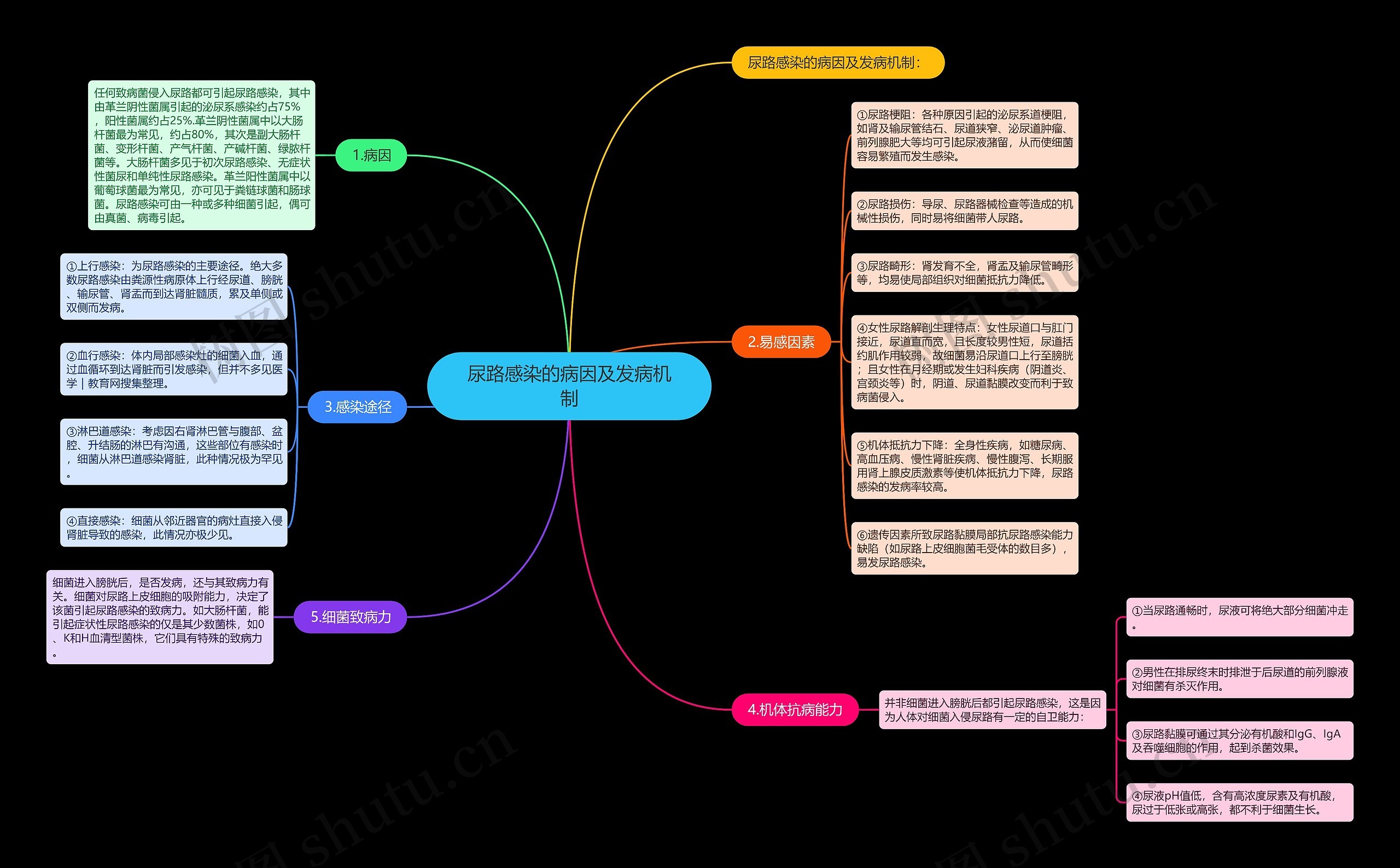 尿路感染的病因及发病机制 尿路感染的病因及发病机制
