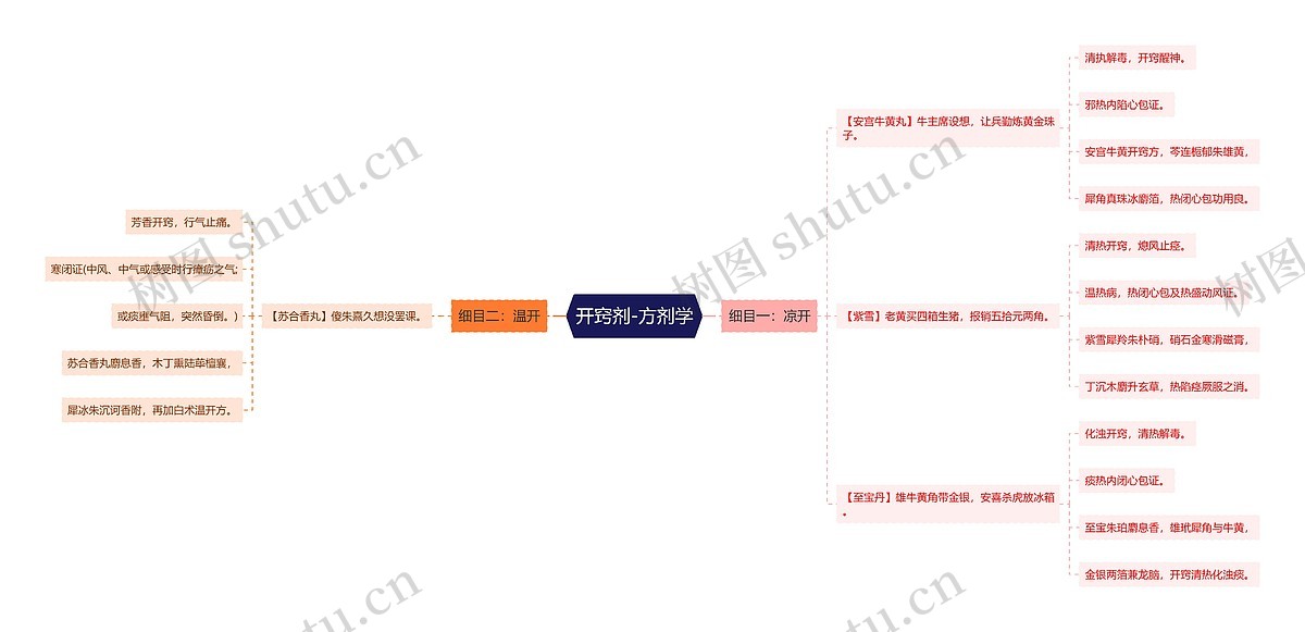开窍剂-方剂学思维导图_编号p6772729-TreeMind树图