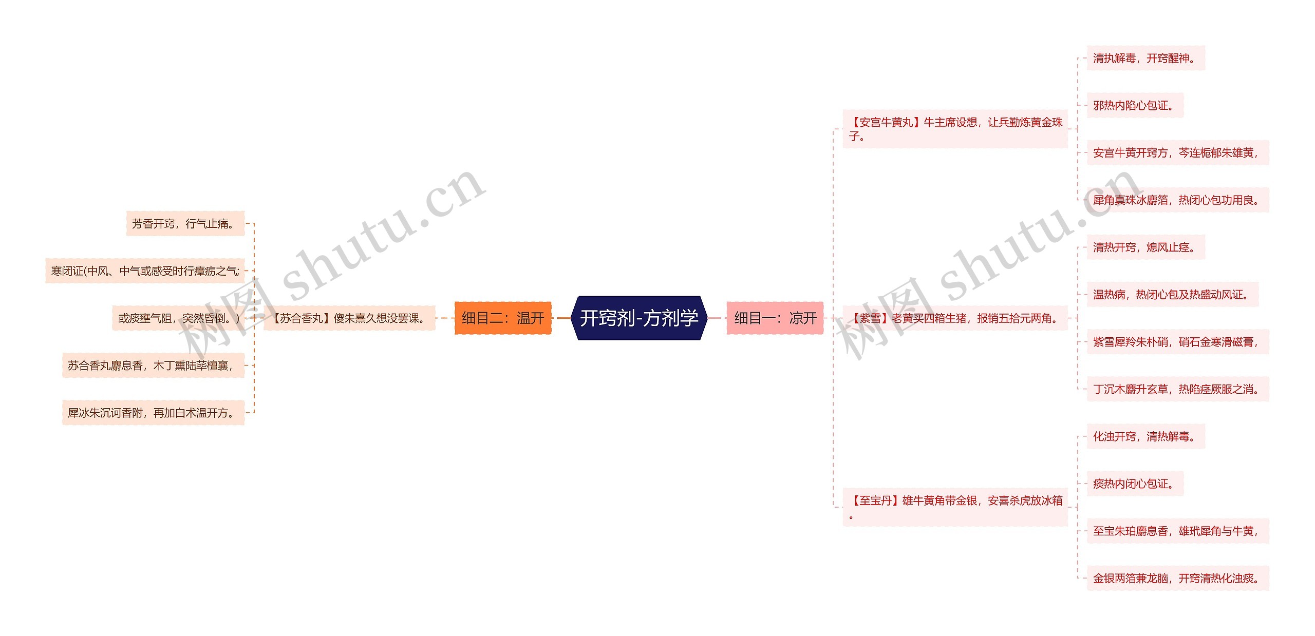 开窍剂-方剂学思维导图