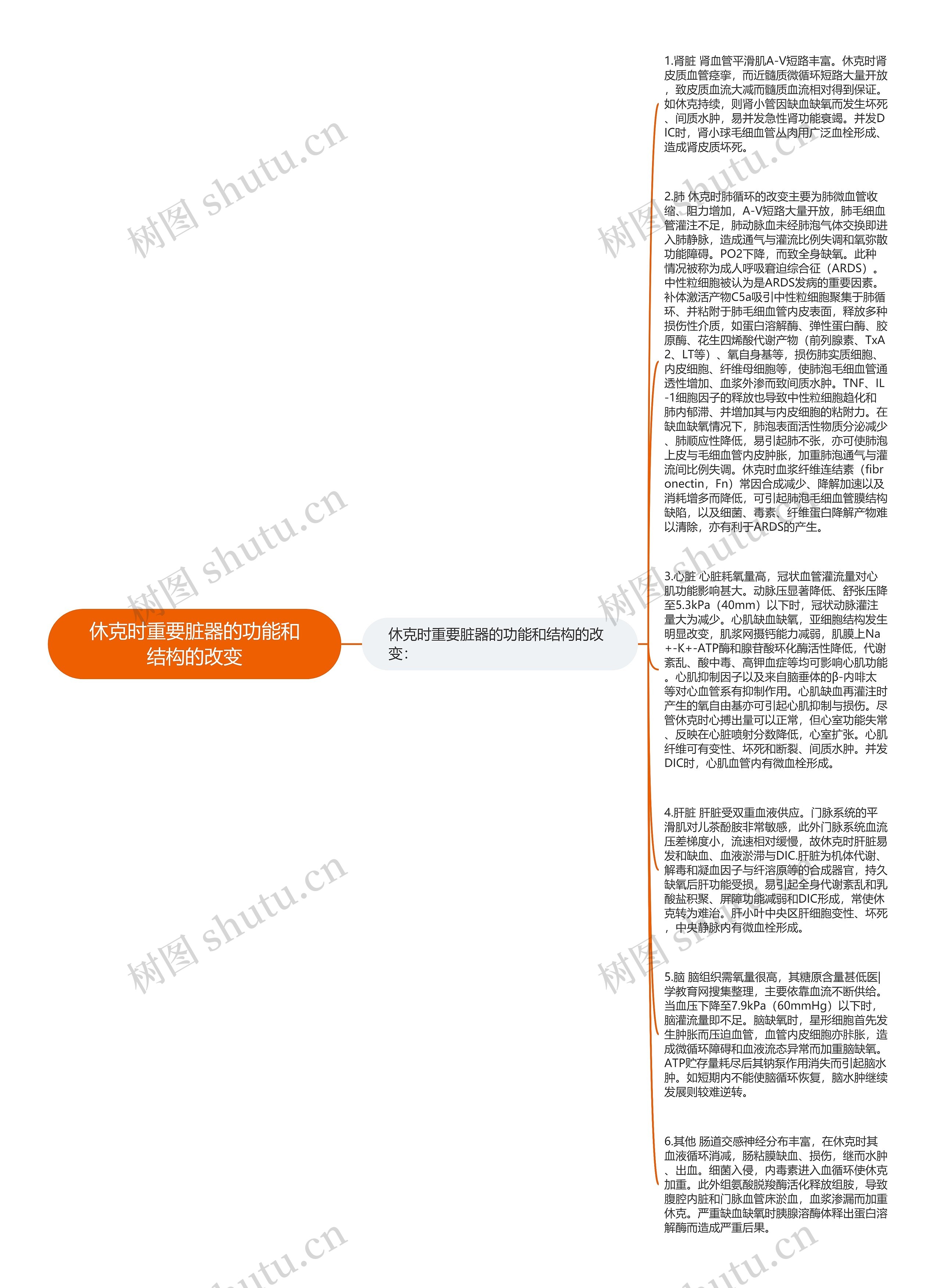 休克时重要脏器的功能和结构的改变思维导图