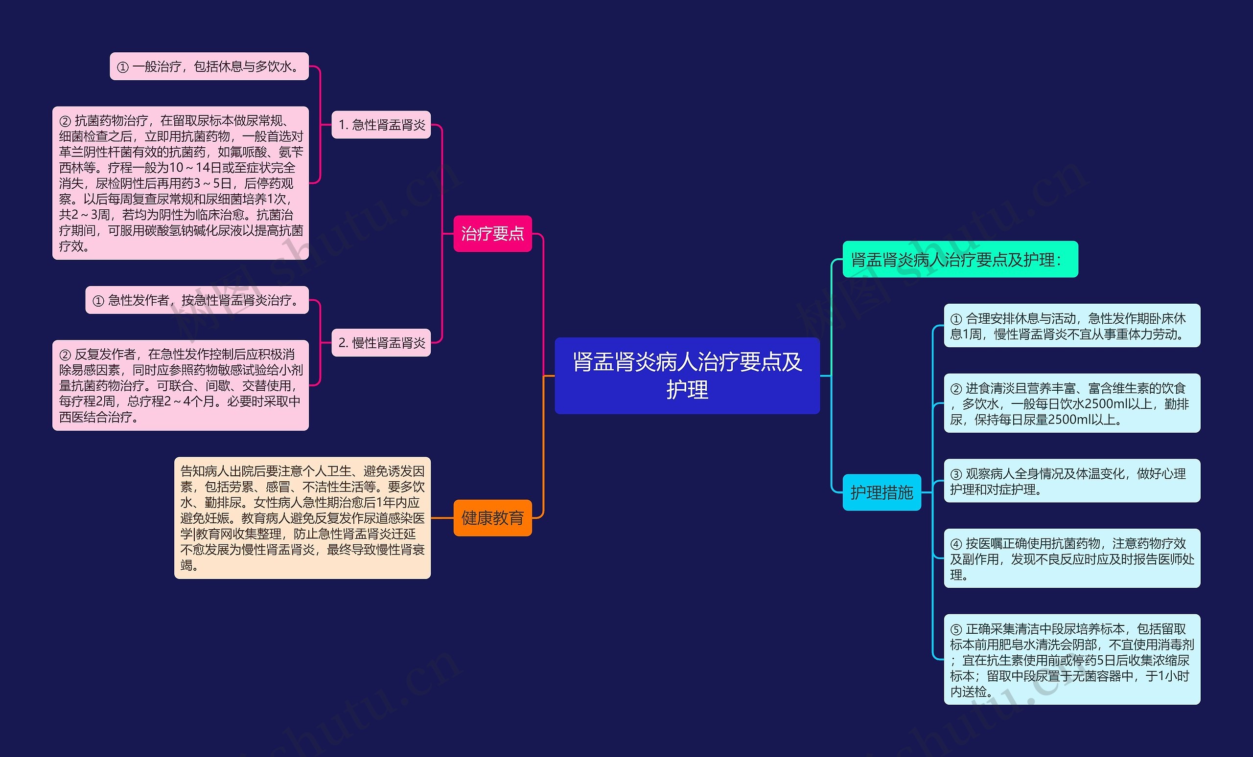 肾盂肾炎病人治疗要点及护理思维导图