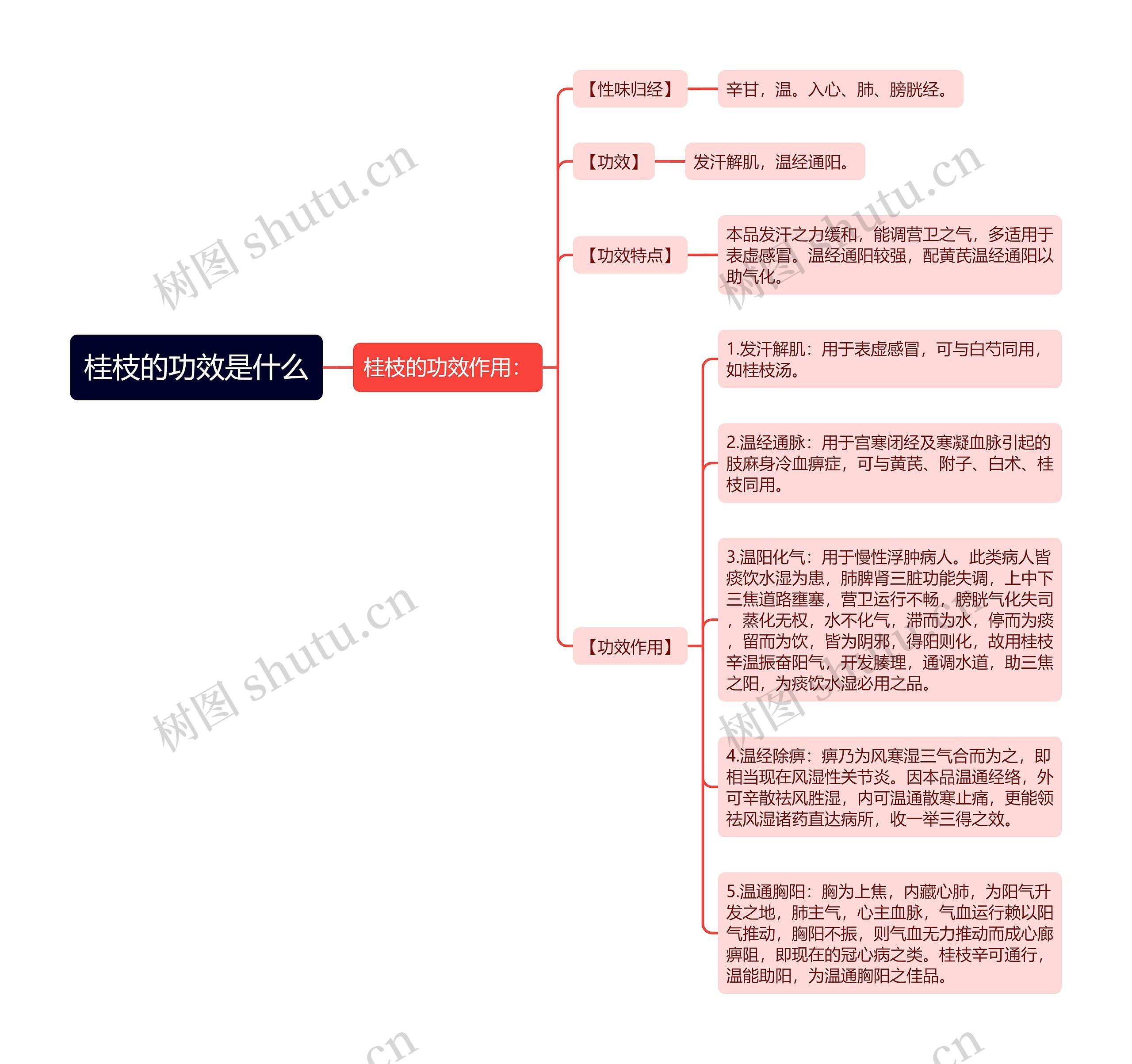 桂枝的功效是什么思维导图