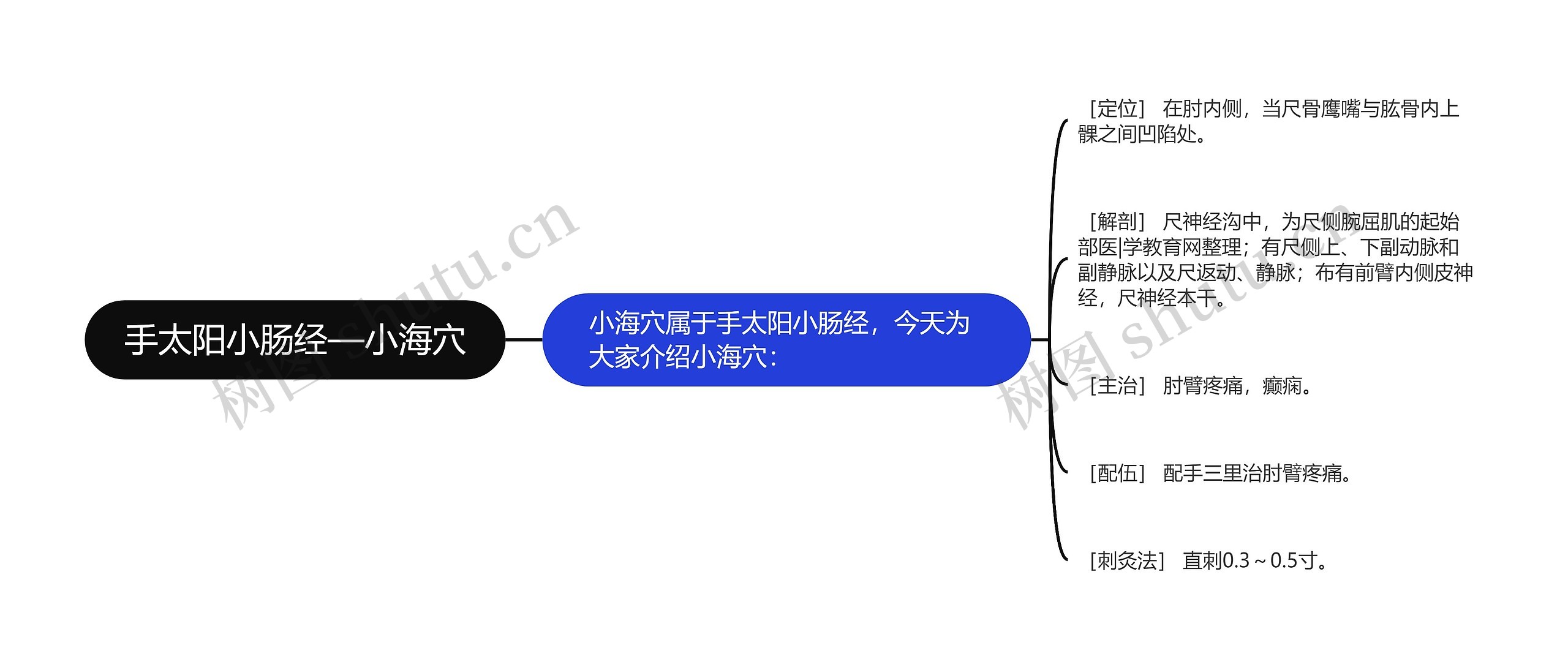 手太阳小肠经—小海穴 手太阳小肠经—小海穴