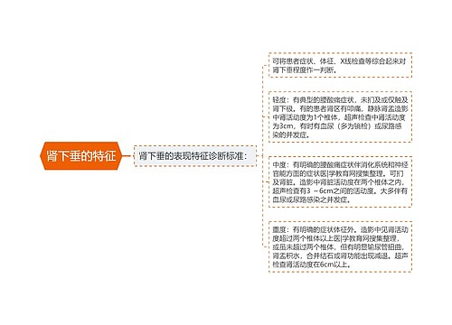 肾下垂的特征