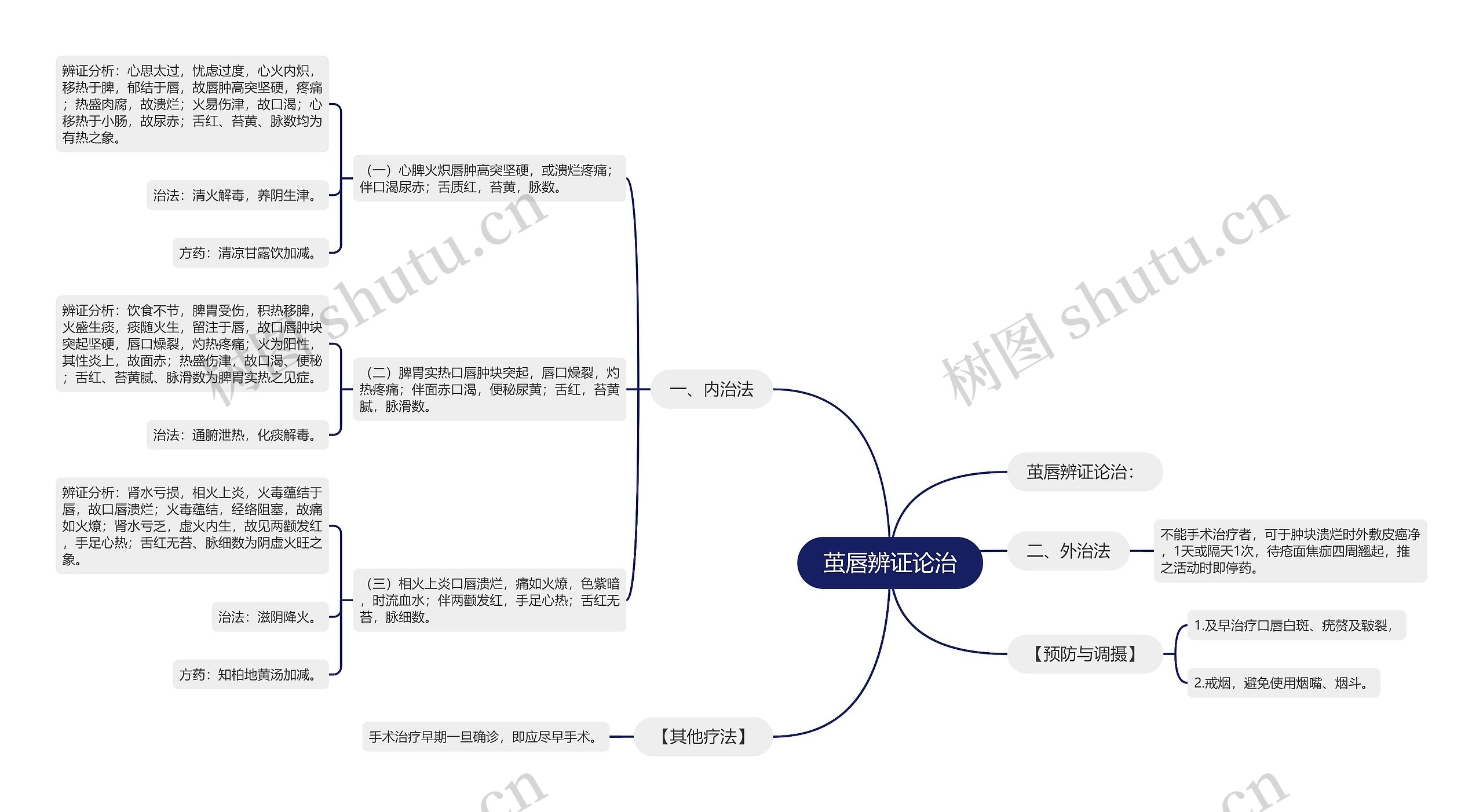 茧唇辨证论治思维导图