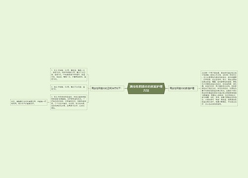 滴虫性阴道炎的家庭护理方法