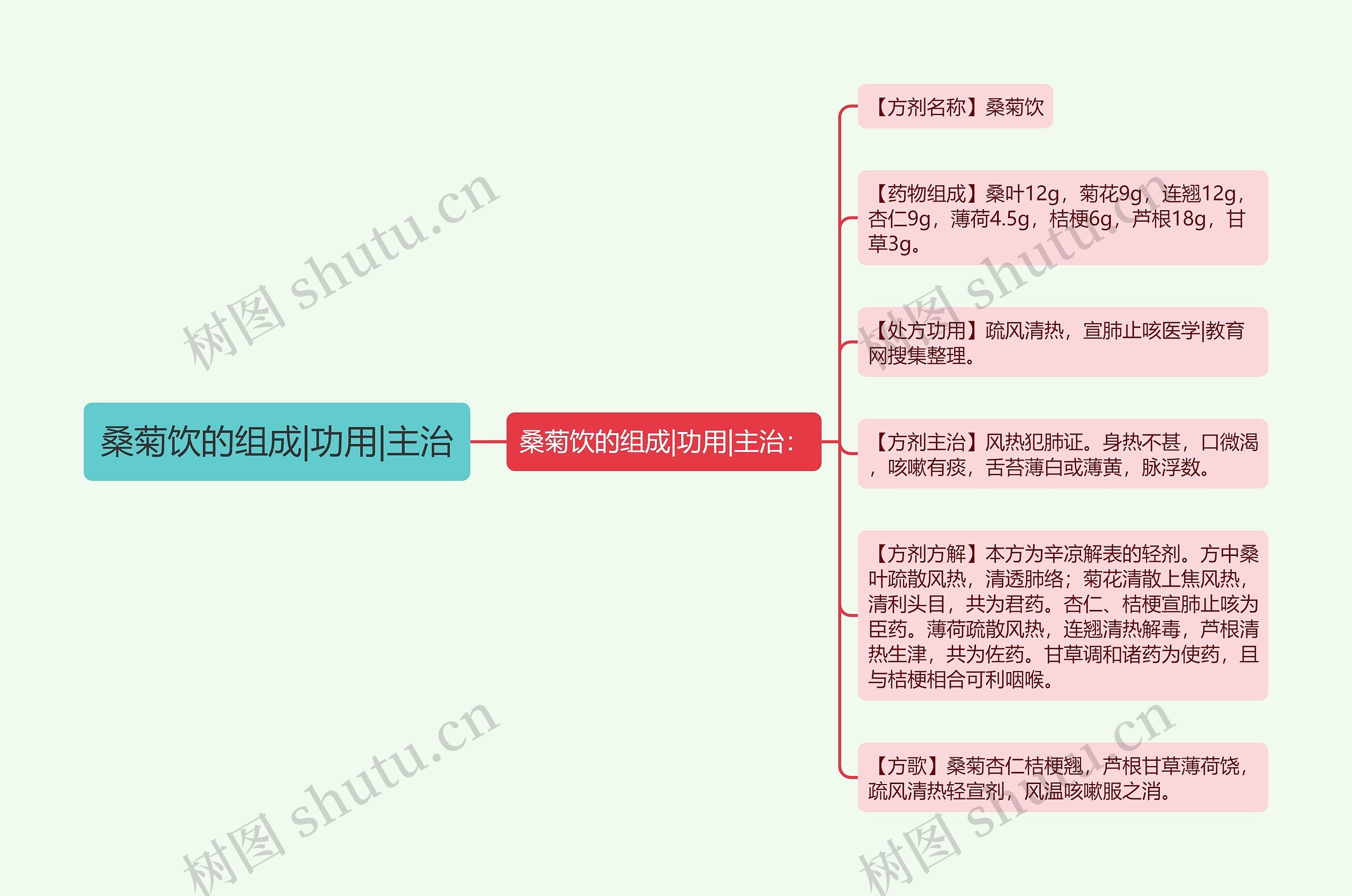 桑菊饮的组成|功用|主治思维导图