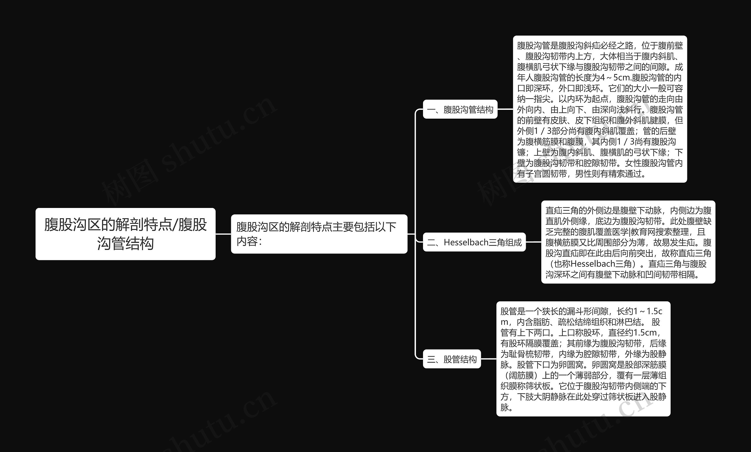 腹股沟区的解剖特点/腹股沟管结构