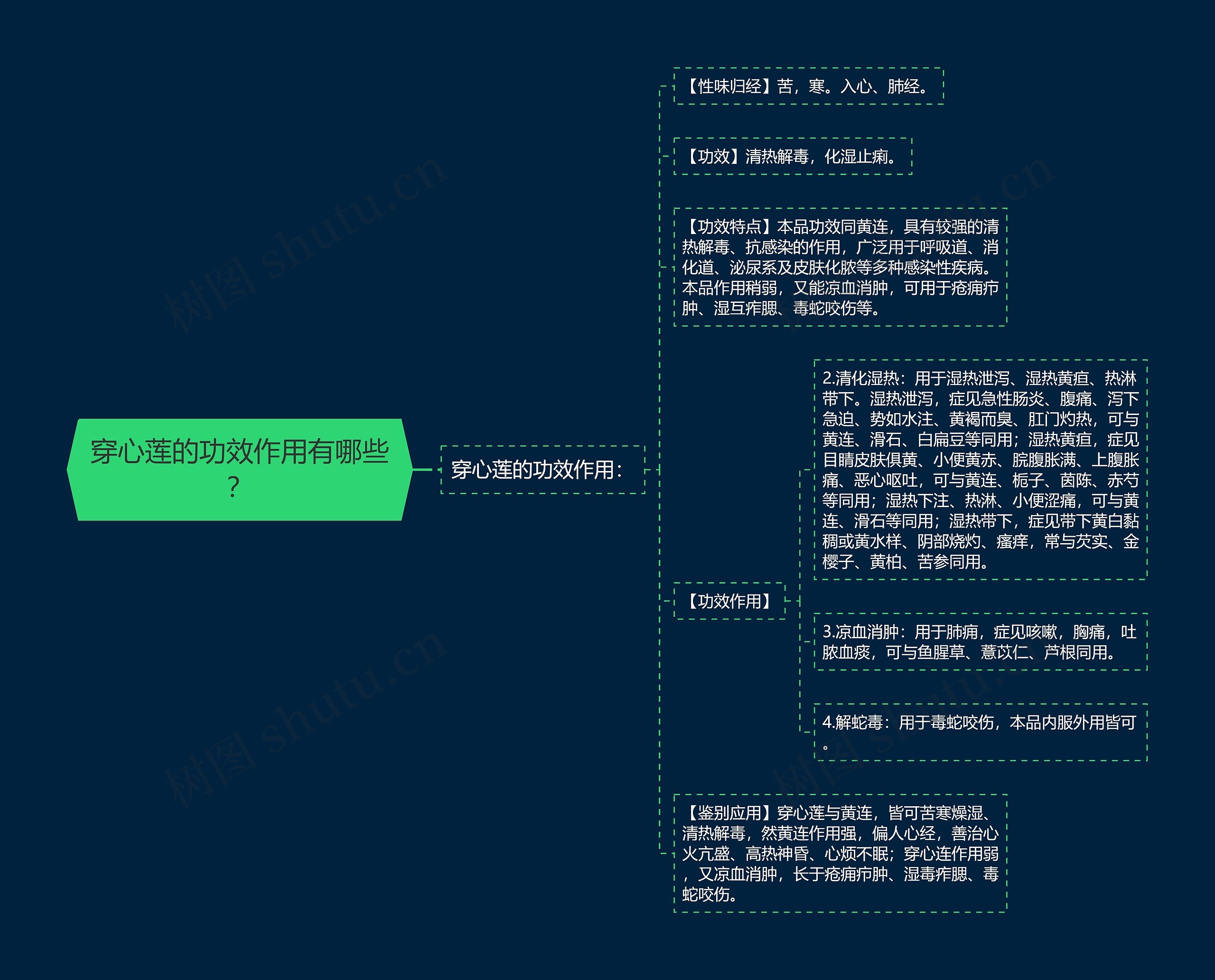 穿心莲的功效作用有哪些？思维导图