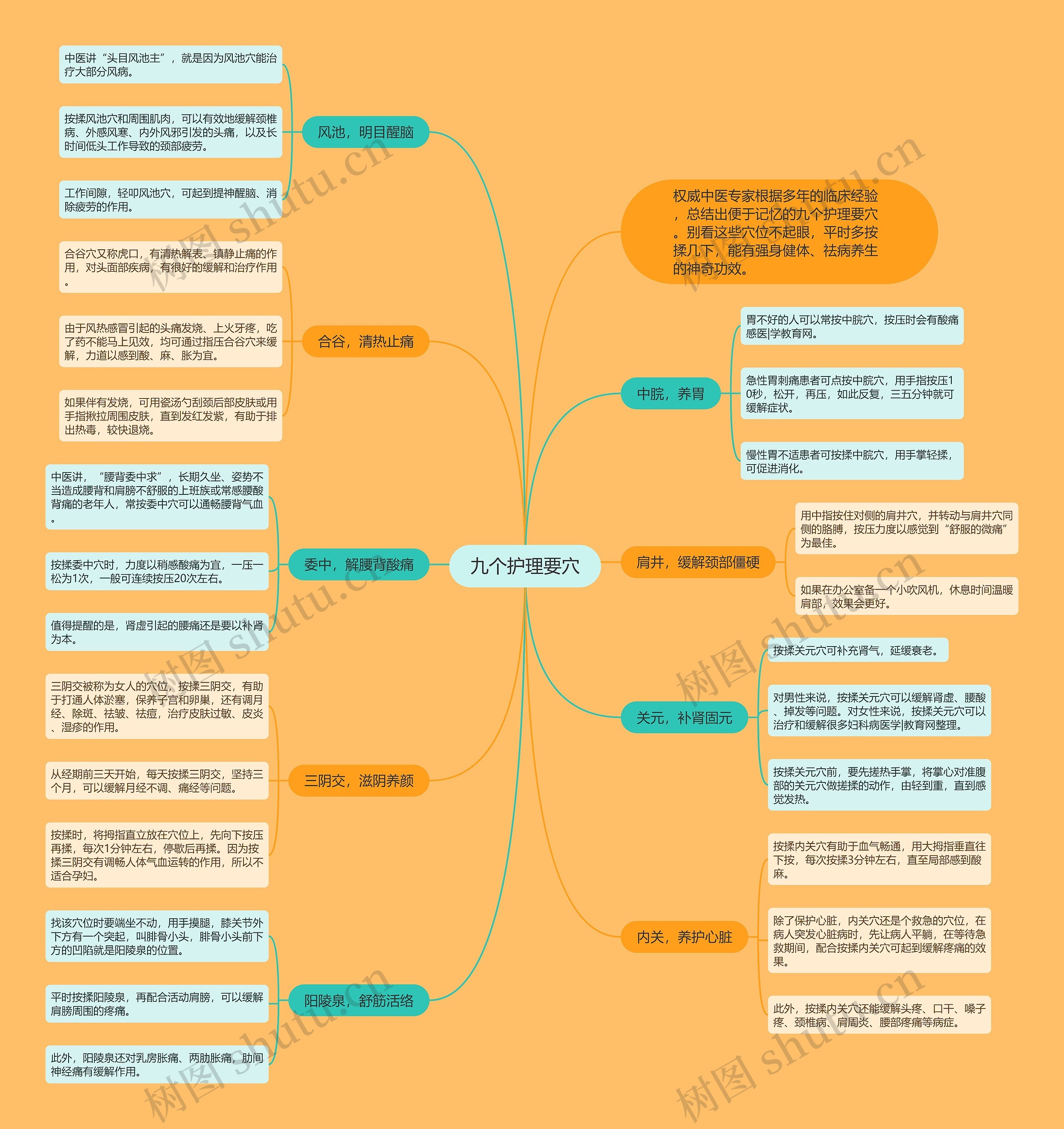 九个护理要穴思维导图
