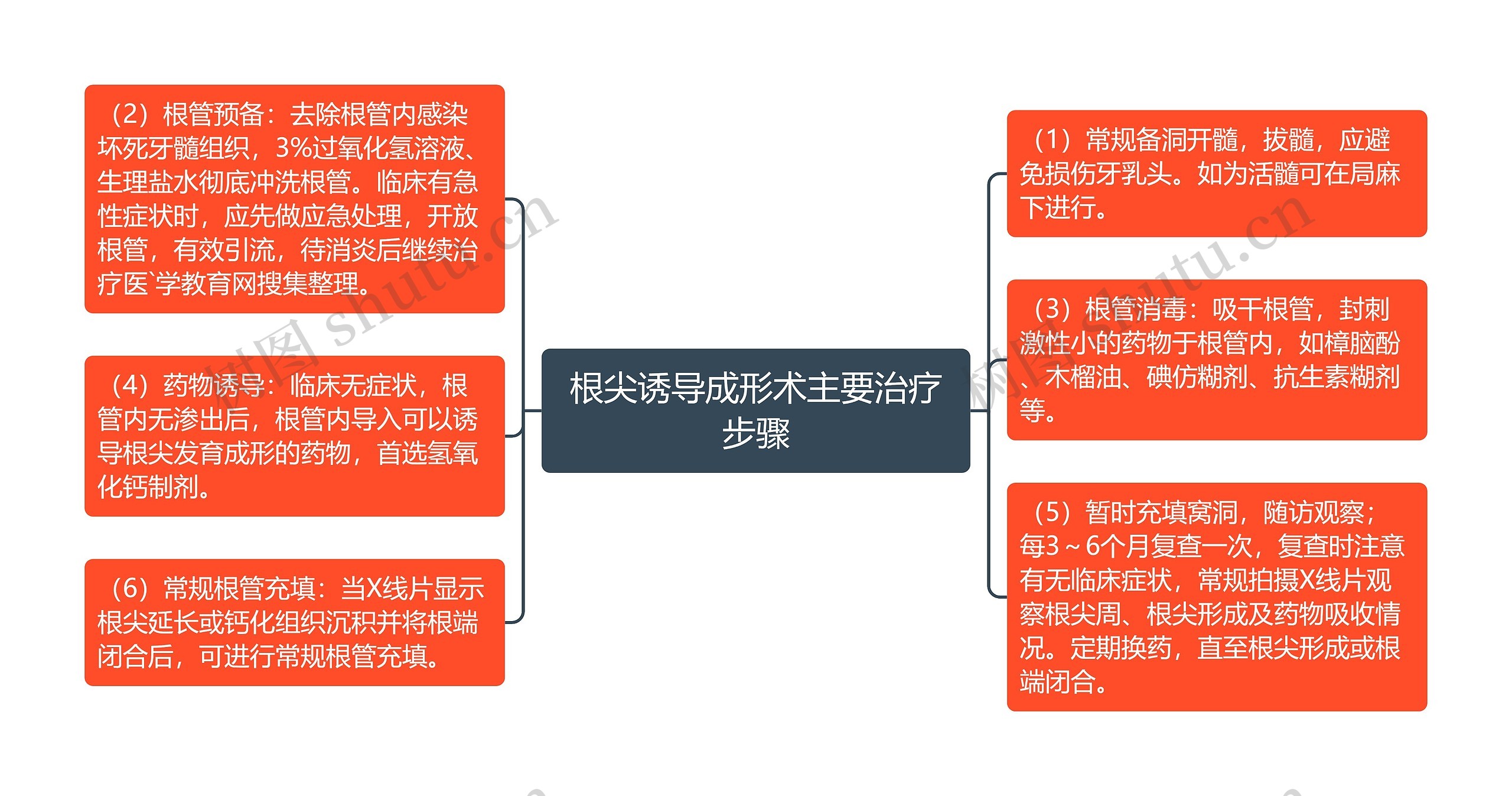 根尖诱导成形术主要治疗步骤