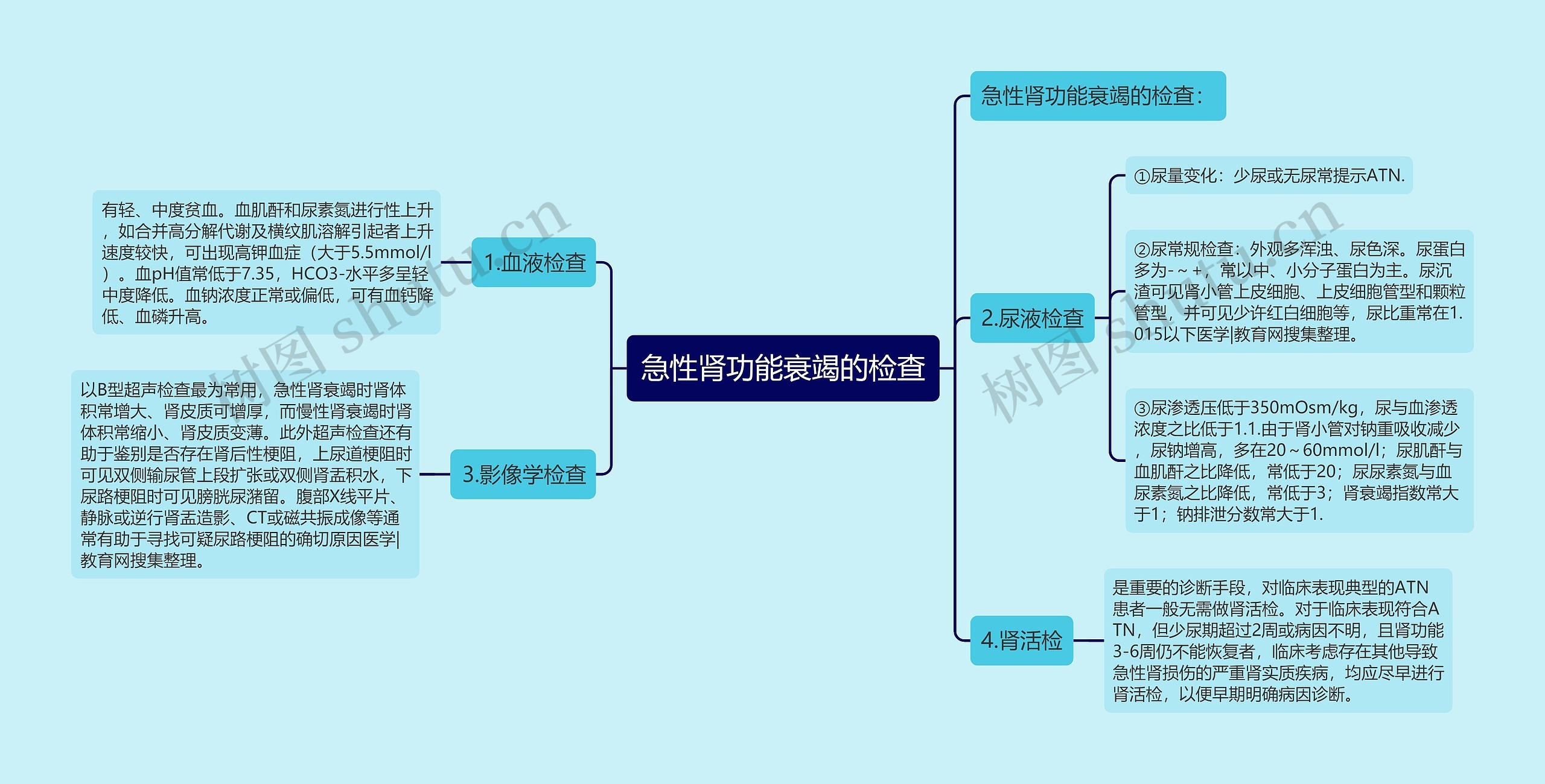 急性肾功能衰竭的检查