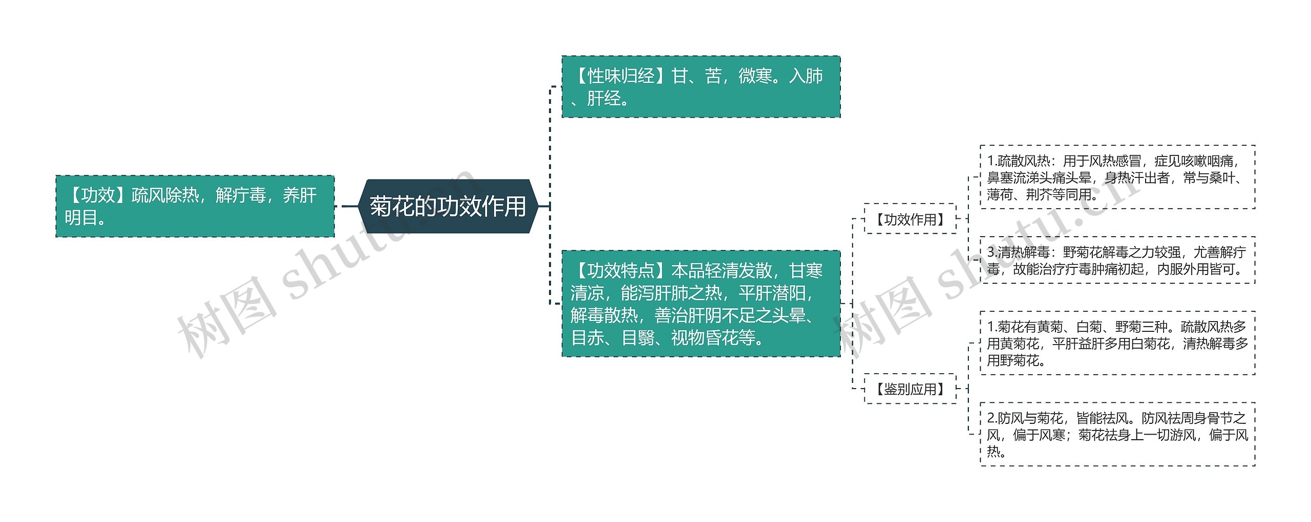 菊花的功效作用思维导图