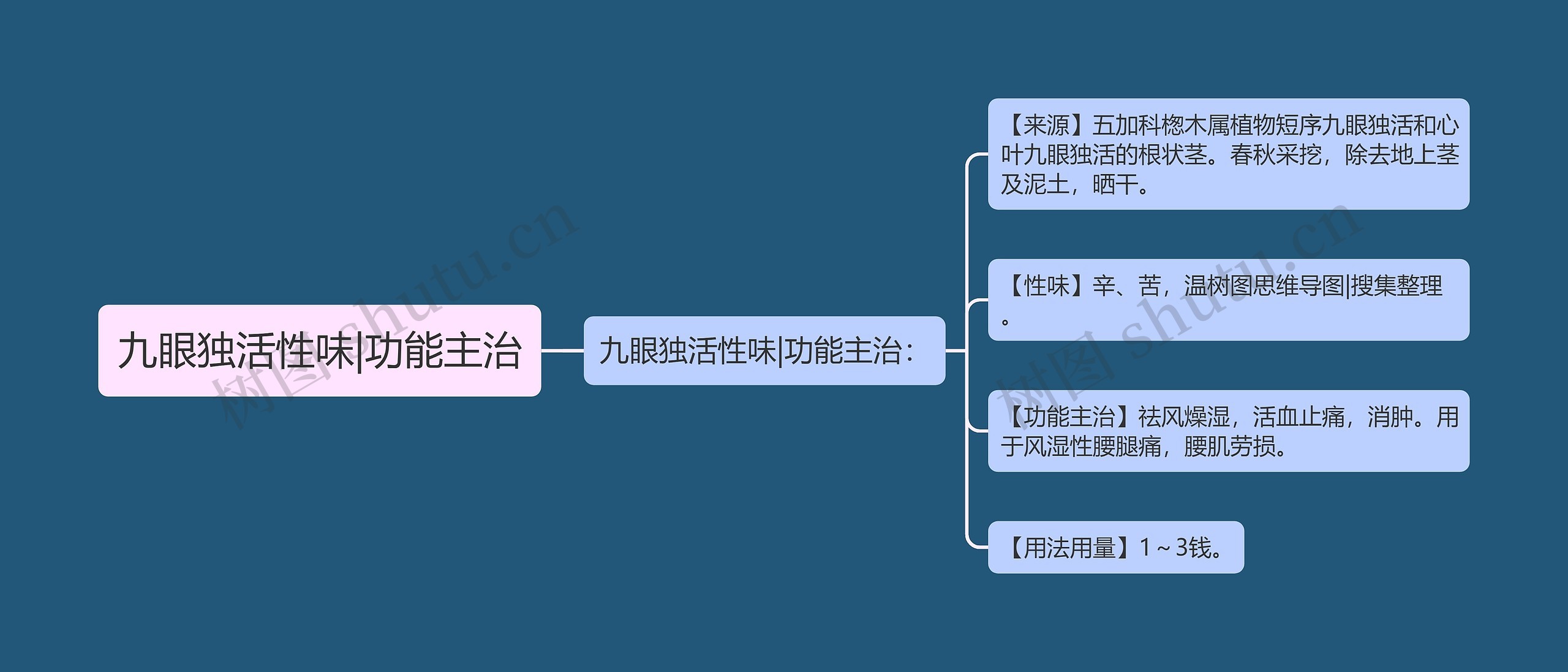 九眼独活性味|功能主治思维导图