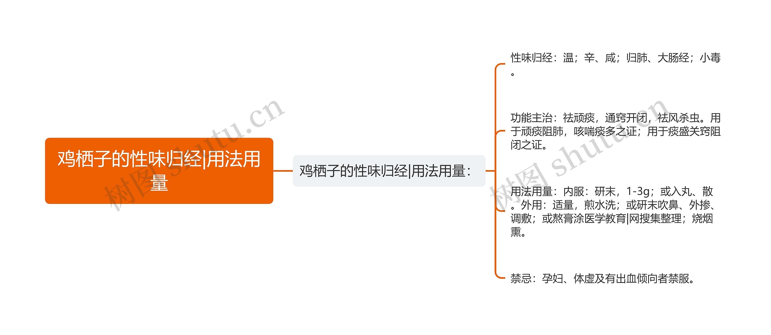 鸡栖子的性味归经|用法用量