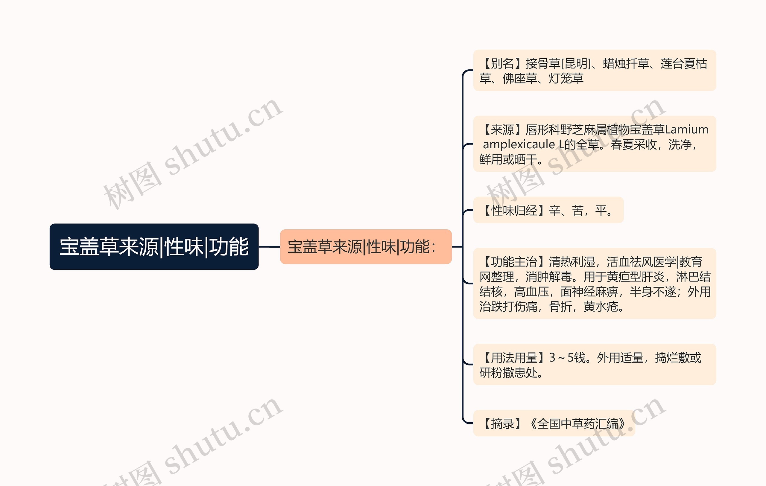 宝盖草来源|性味|功能思维导图