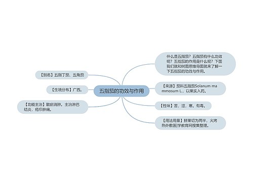 五指茄的功效与作用