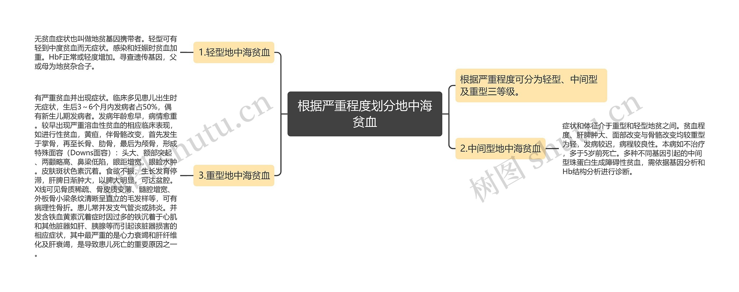 根据严重程度划分地中海贫血